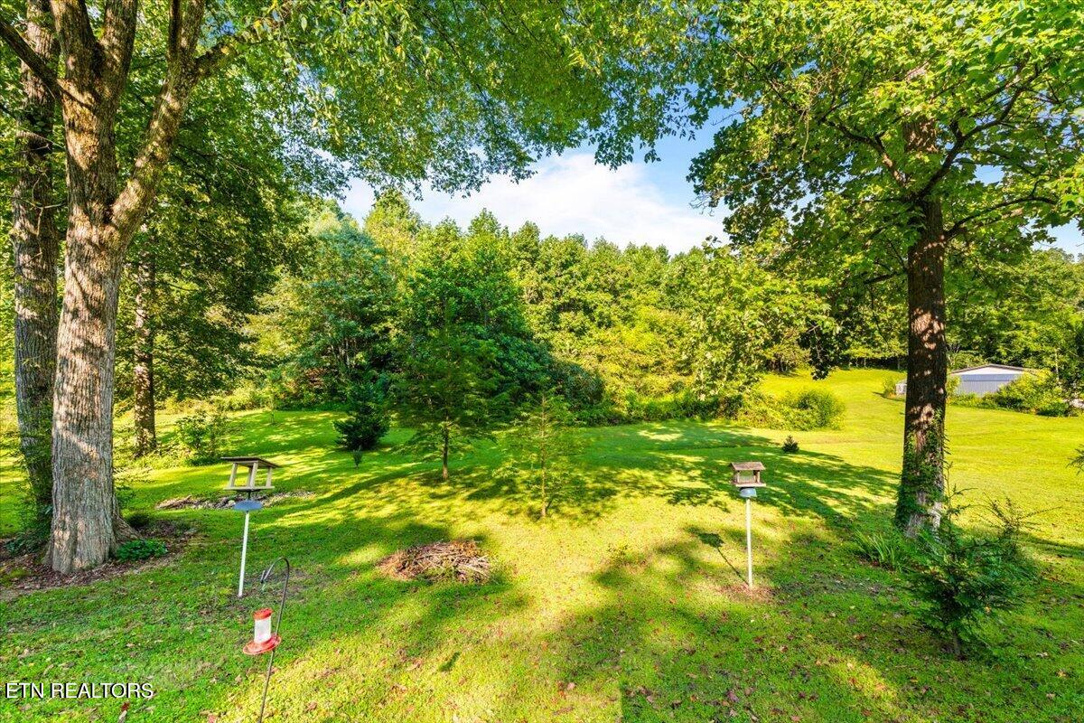 124 Mac Ivey Lane Lafollette TN 37766