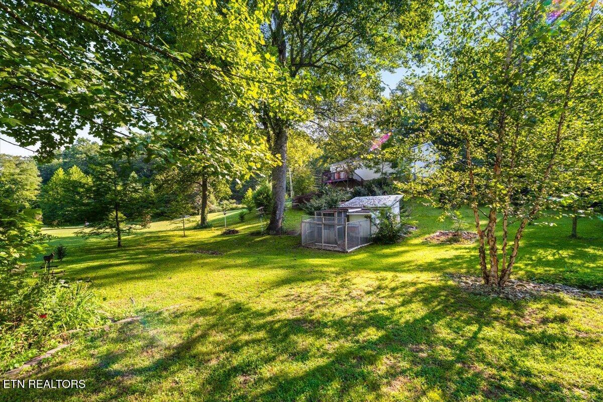 124 Mac Ivey Lane Lafollette TN 37766