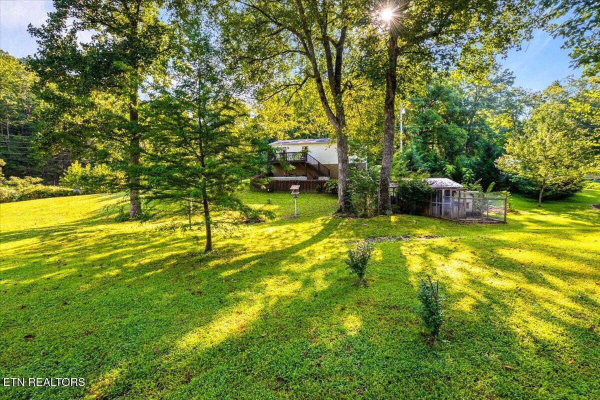 124 Mac Ivey Lane Lafollette TN 37766