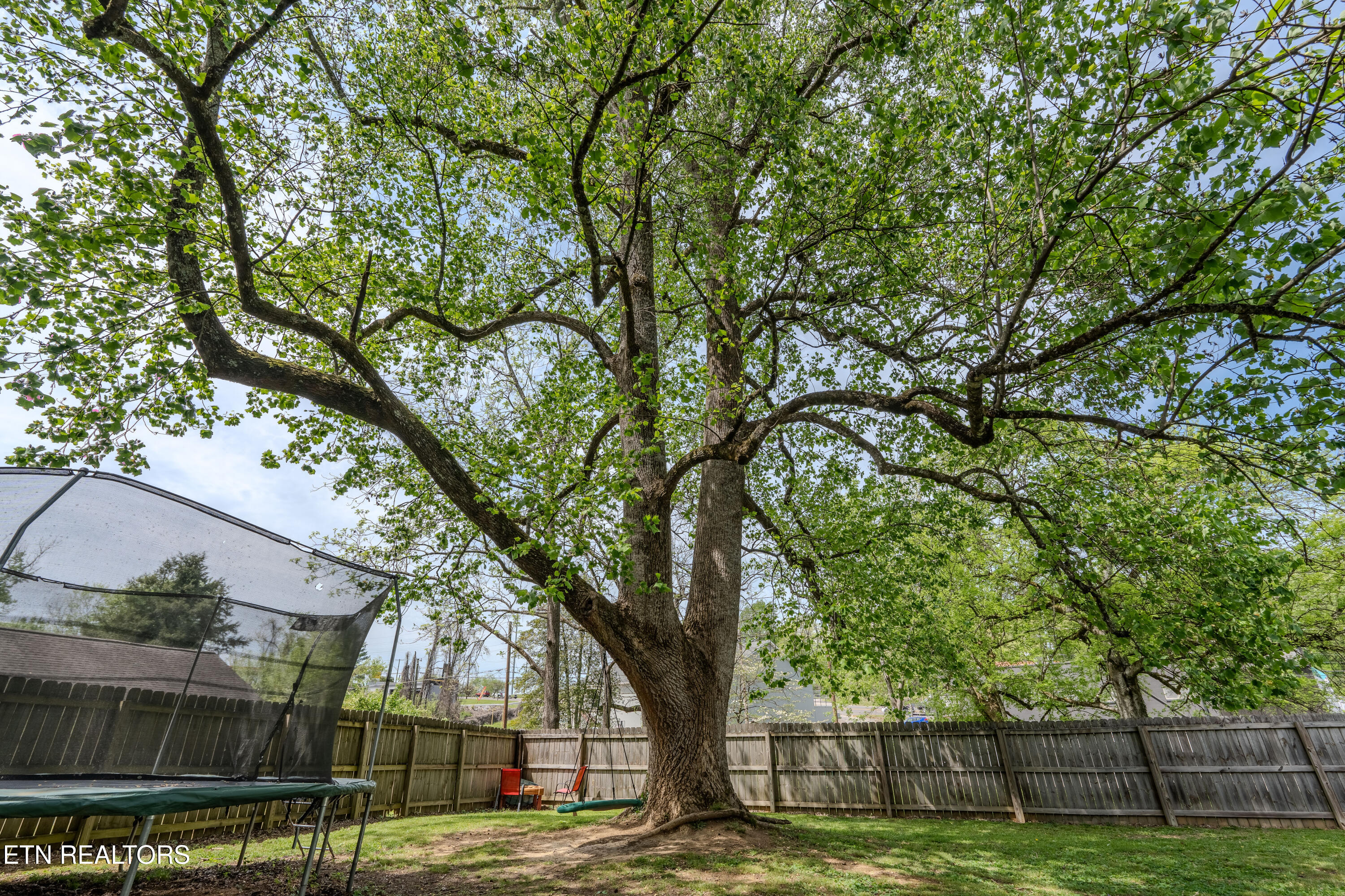 6528 Jackie Lane Knoxville TN 37920