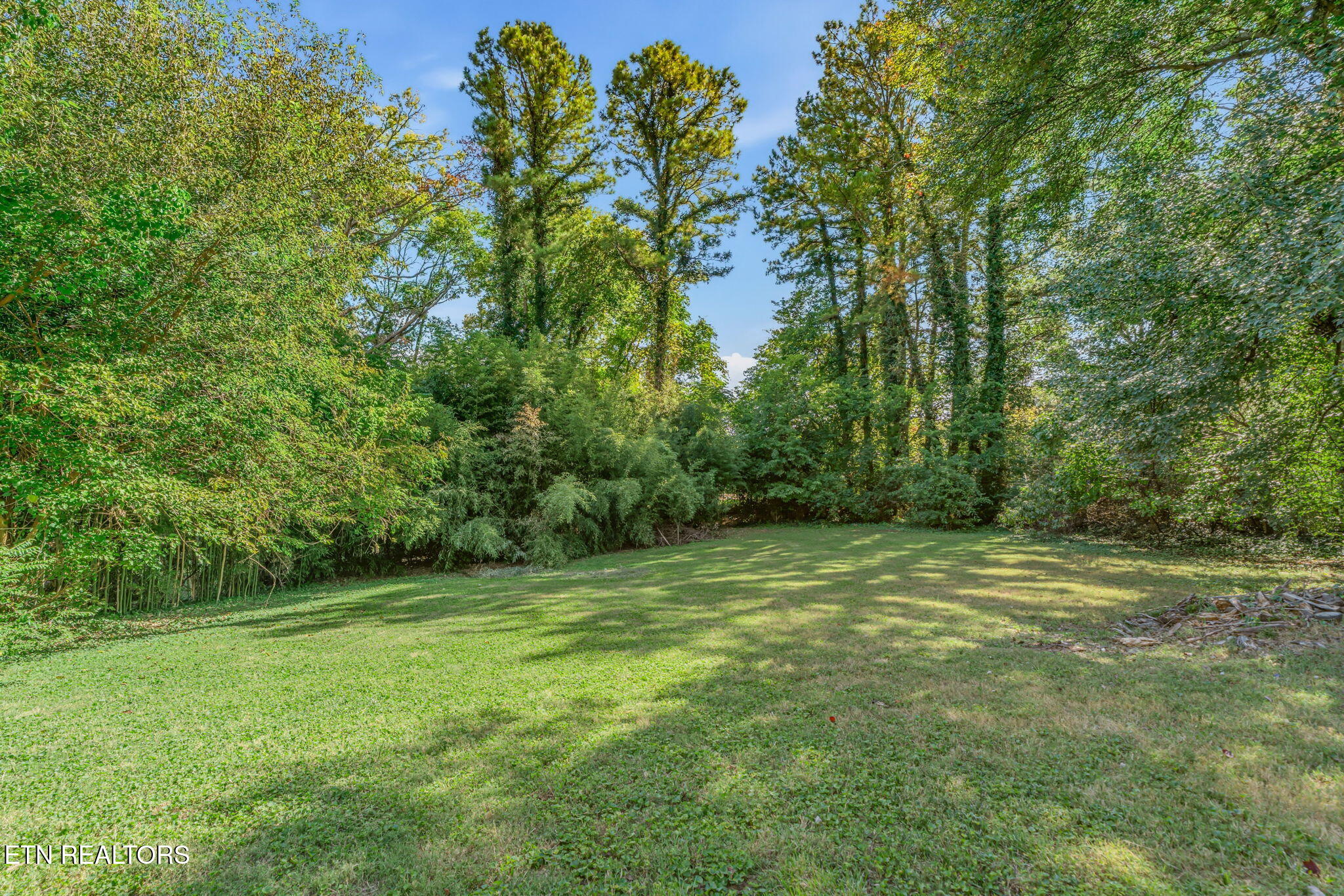 7104 Westavia Drive Knoxville TN 37909