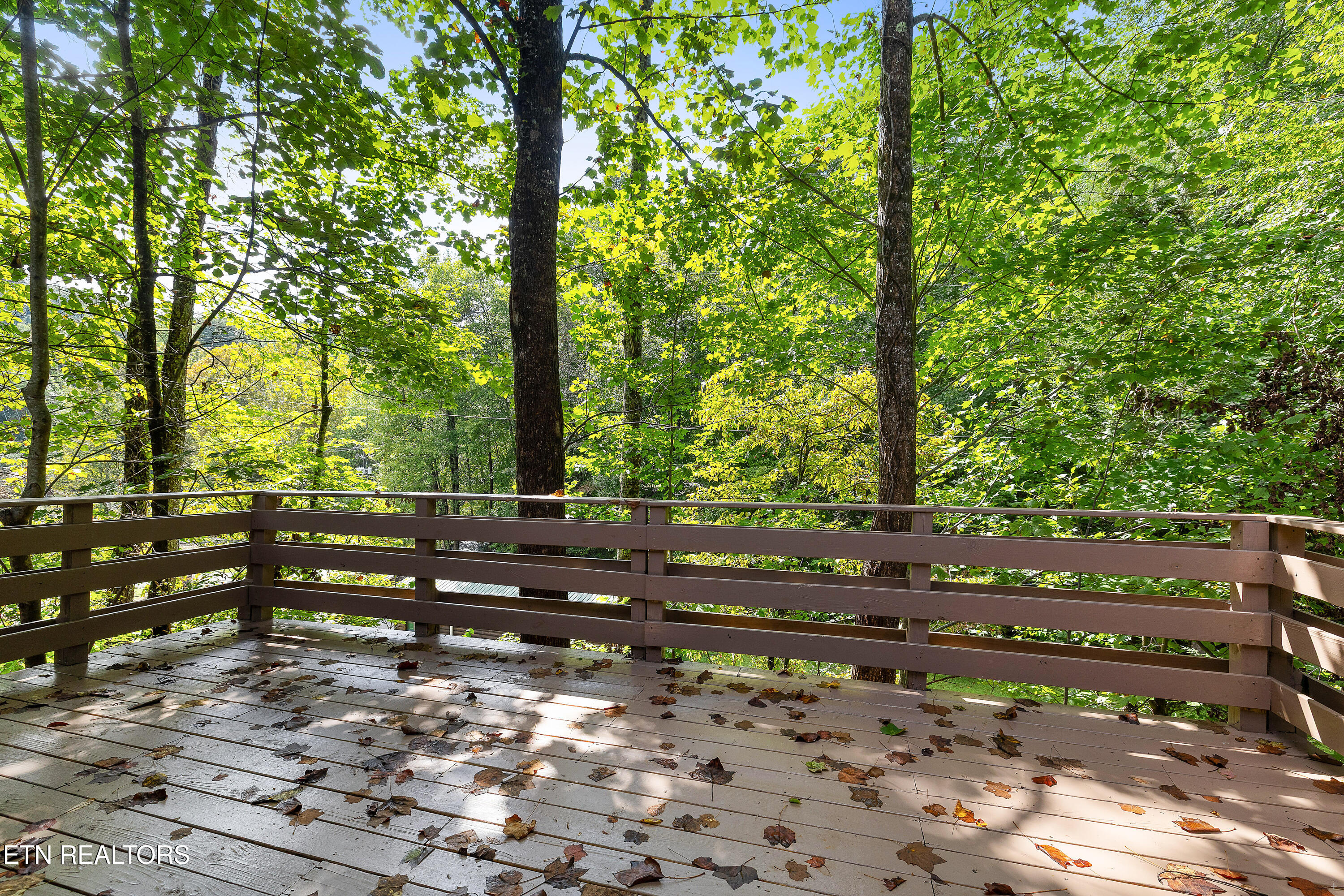 1105 Silver Poplar Lane Sevierville TN 37876