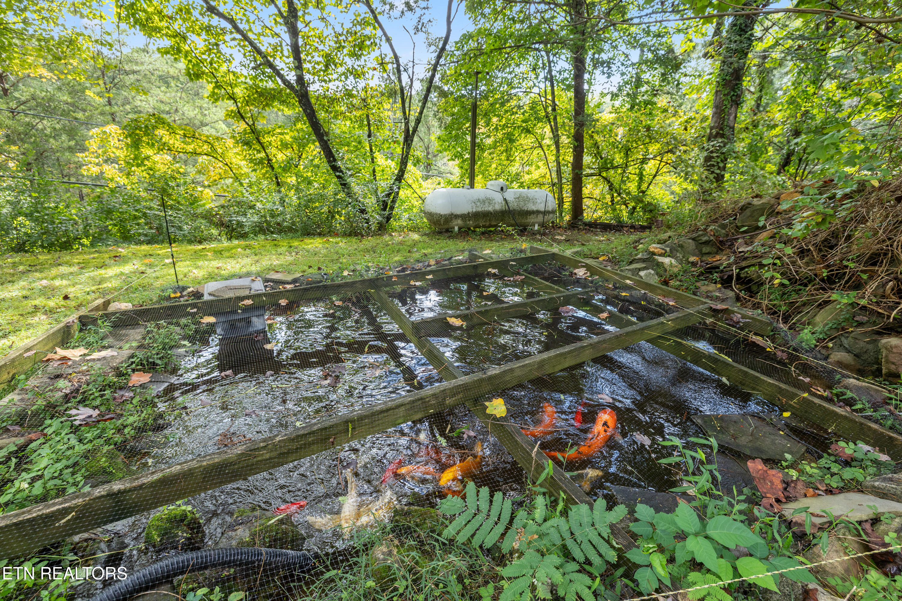 1105 Silver Poplar Lane Sevierville TN 37876