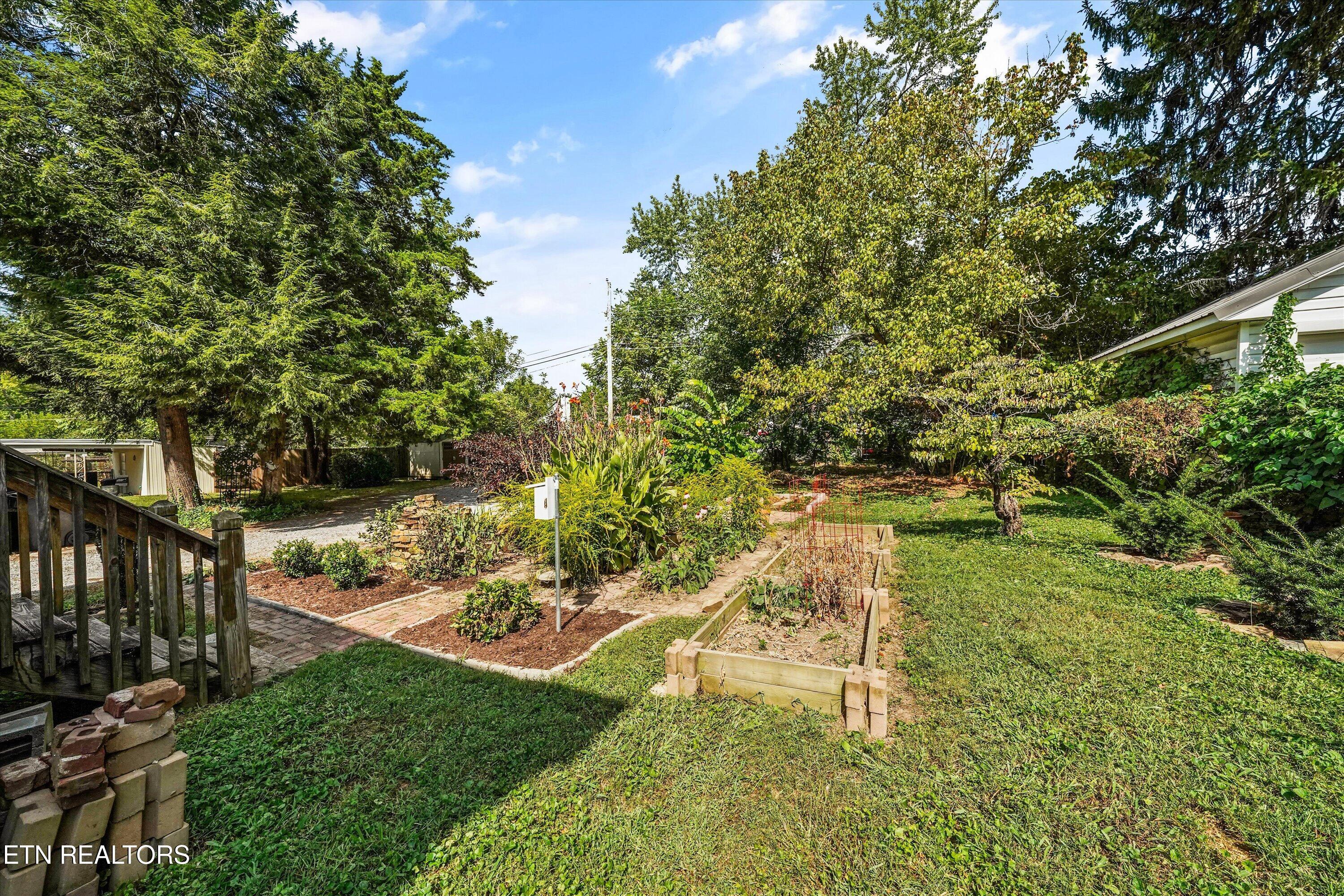 3104 Orlando Street Knoxville TN 37917