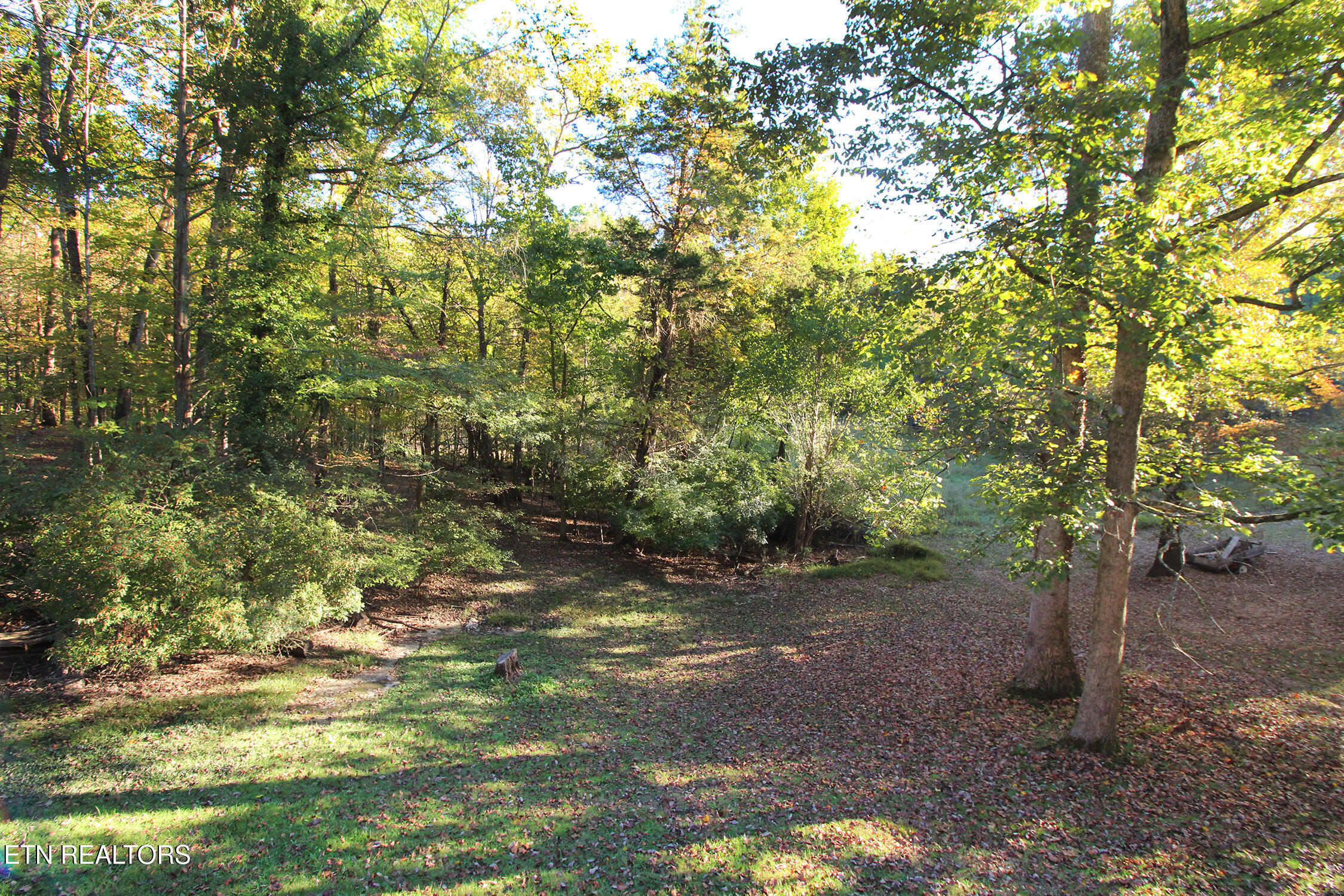 326 Club House Drive Andersonville TN 37705
