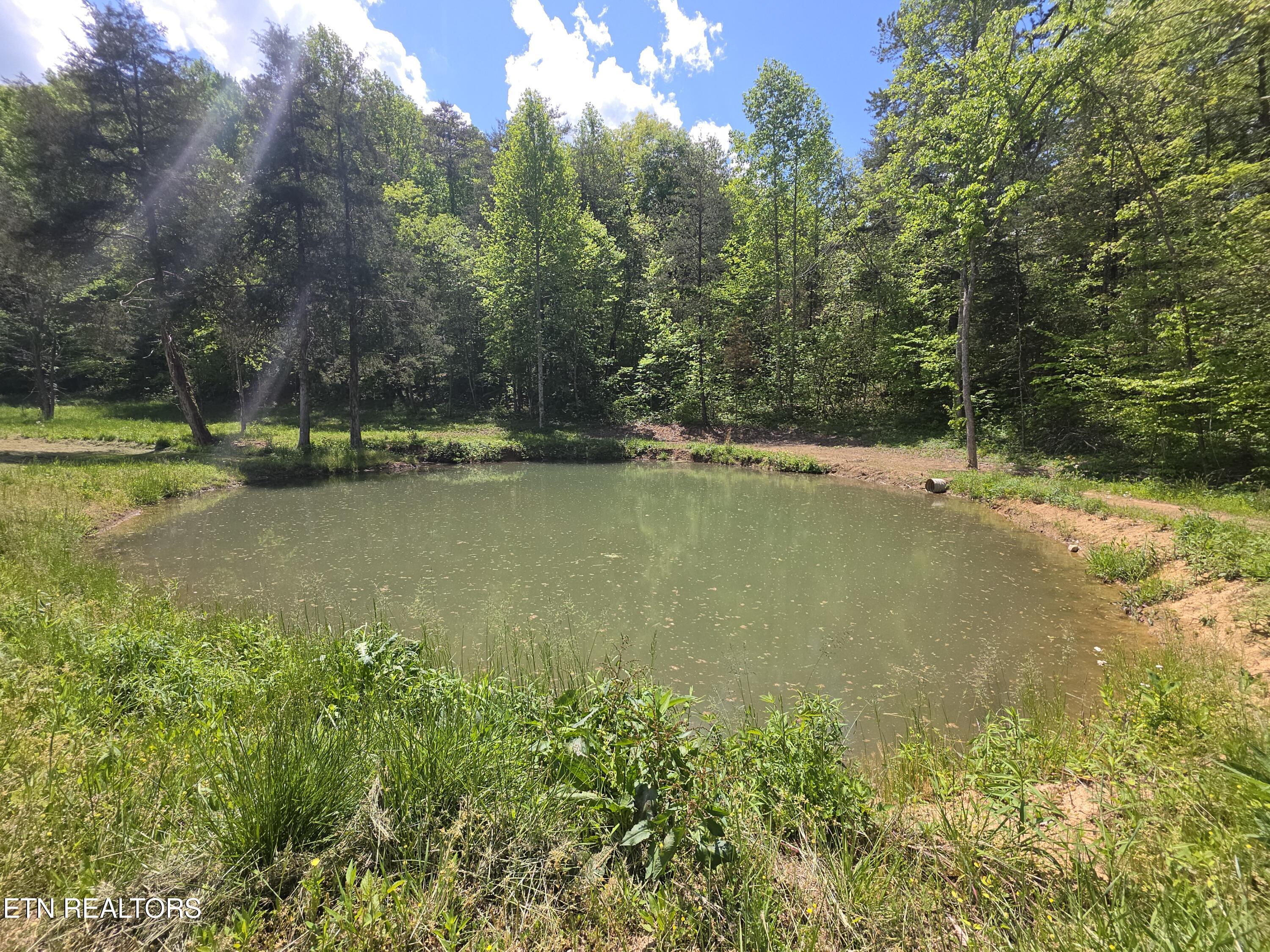 1220 Raven Hill Road Tazewell TN 37879