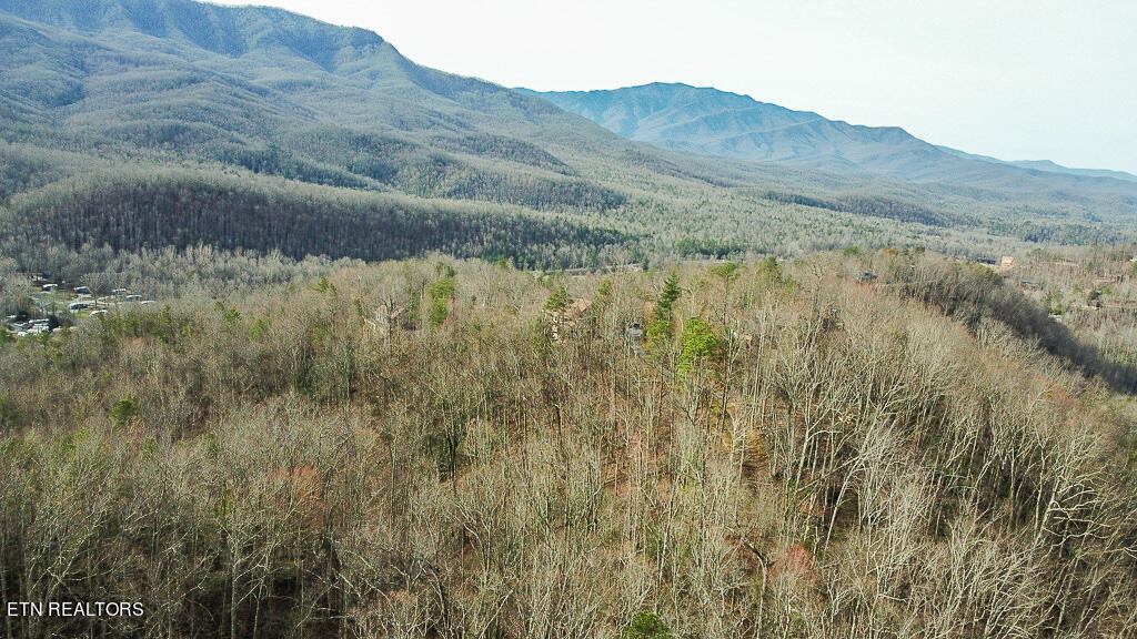 606 Thatta Way Gatlinburg TN 37738