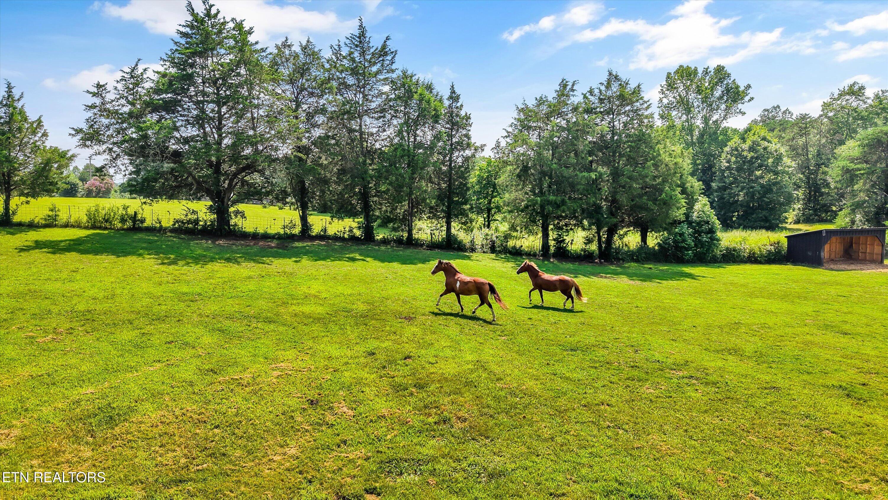 7876 Hines Valley Road Lenoir City TN 37771