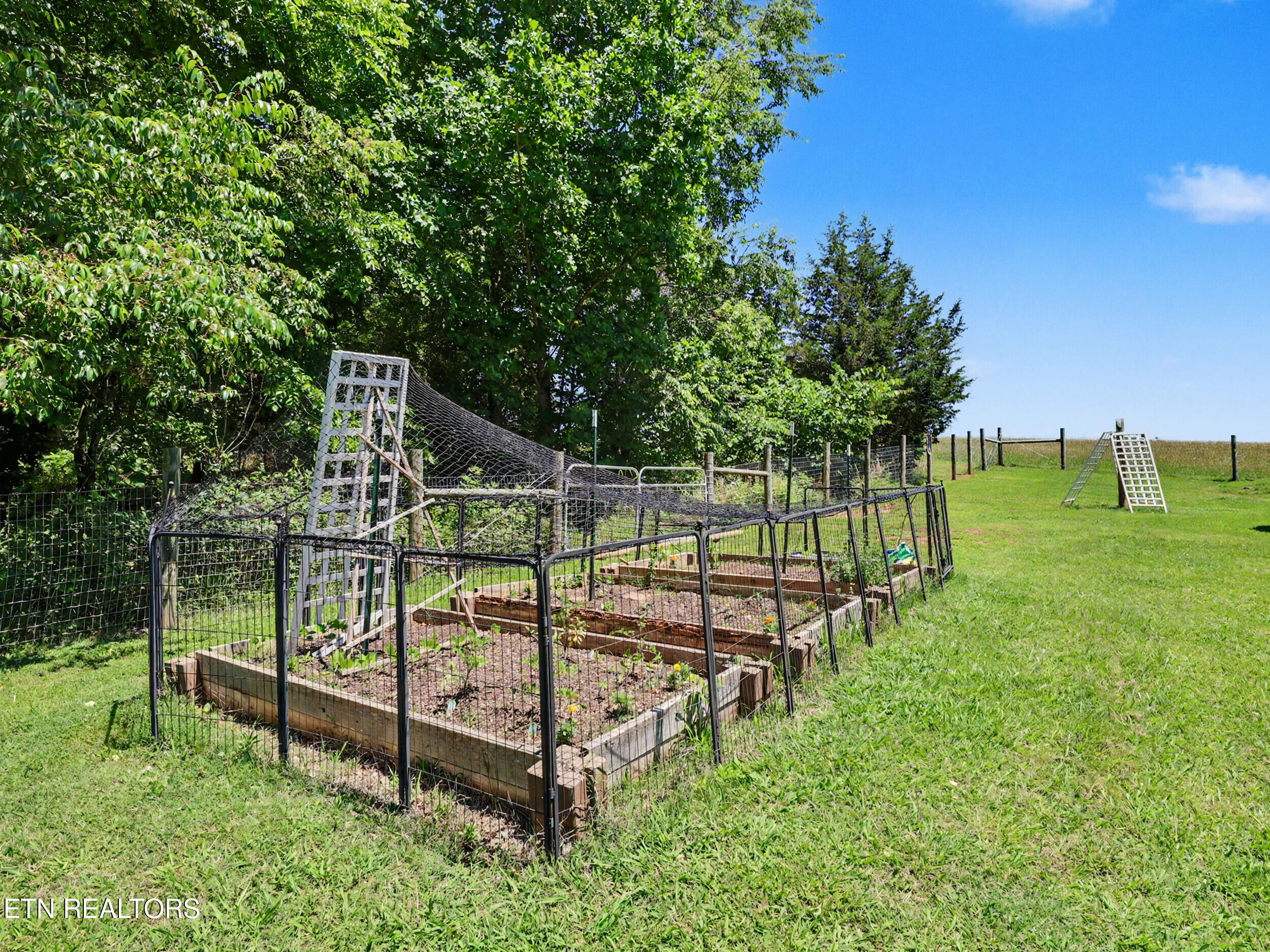 848 Lakeshore Road Talbott TN 37877