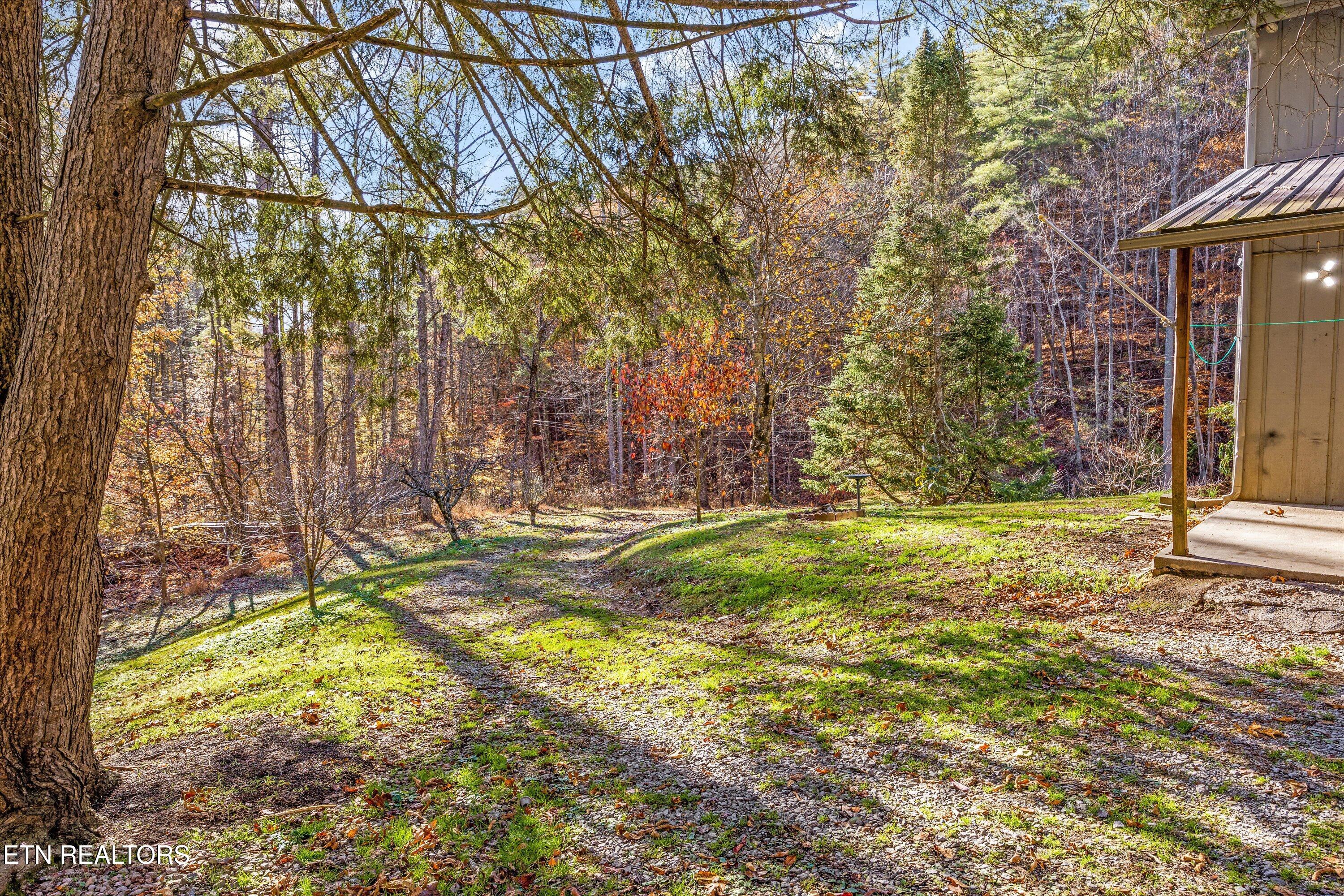 320 Caney Branch Road Tellico Plains TN 37385