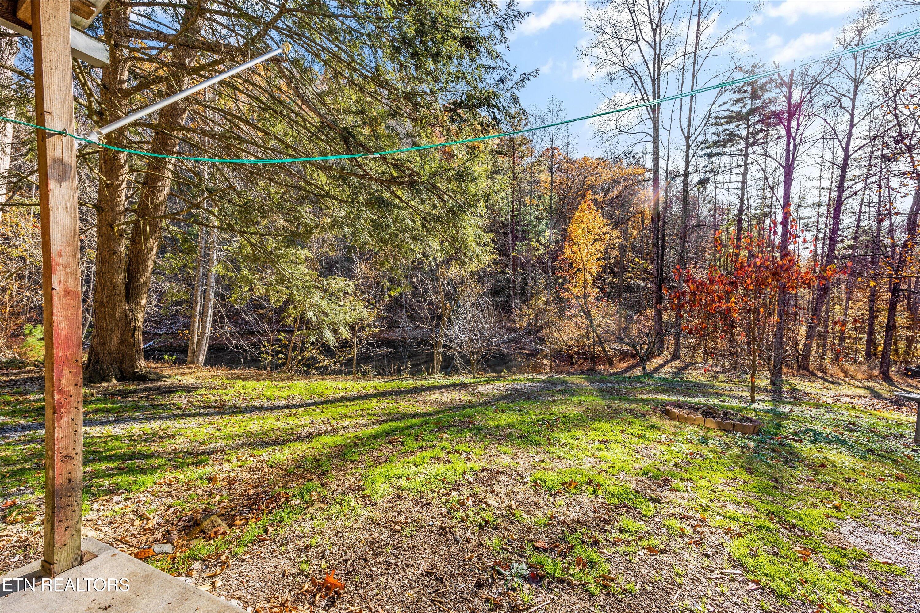 320 Caney Branch Road Tellico Plains TN 37385
