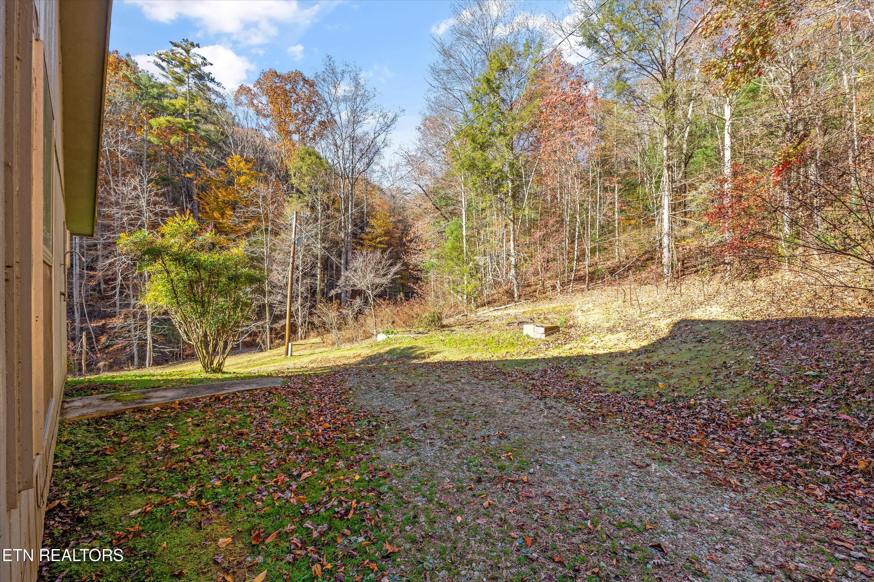 320 Caney Branch Road Tellico Plains TN 37385