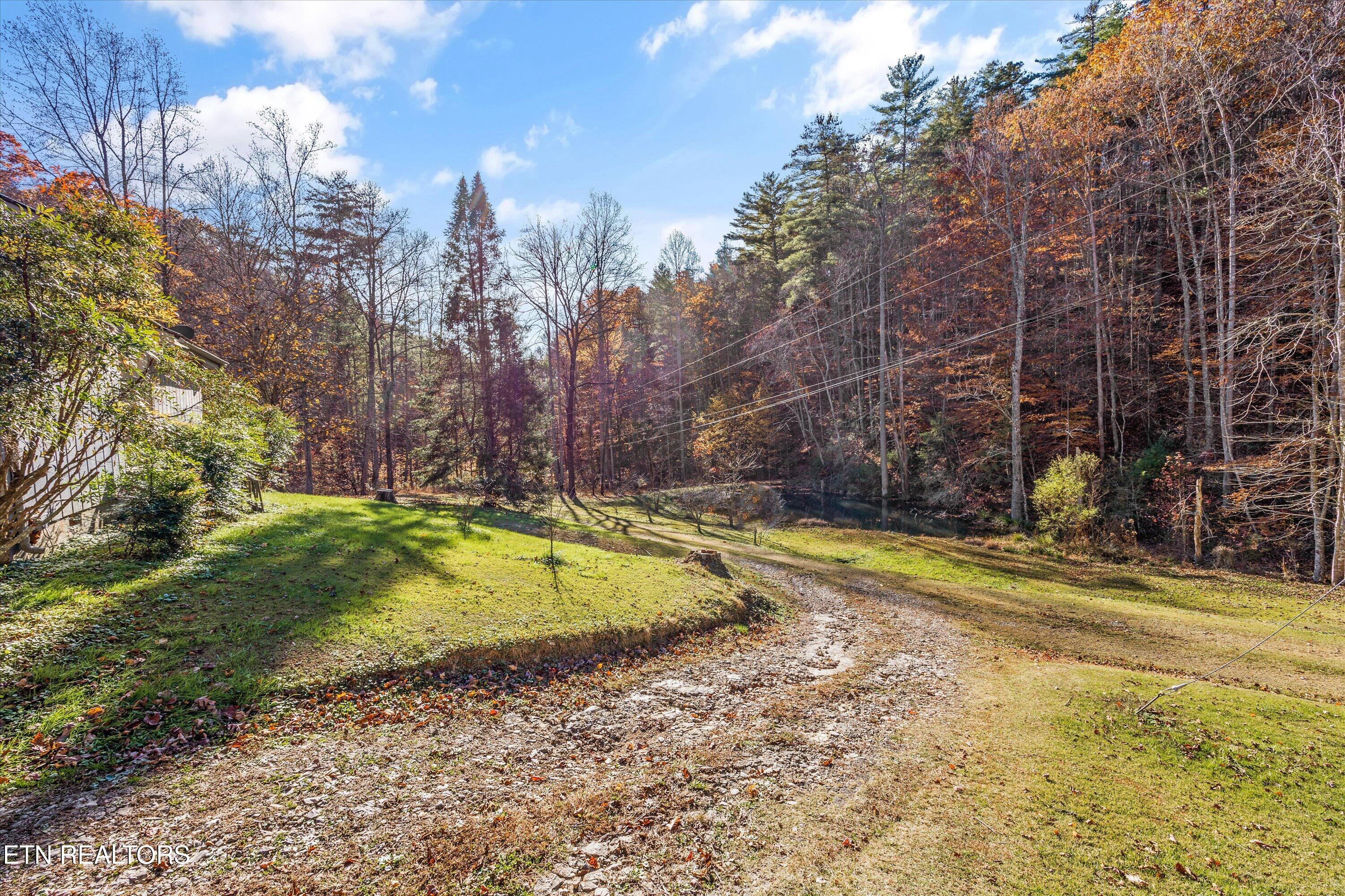 320 Caney Branch Road Tellico Plains TN 37385