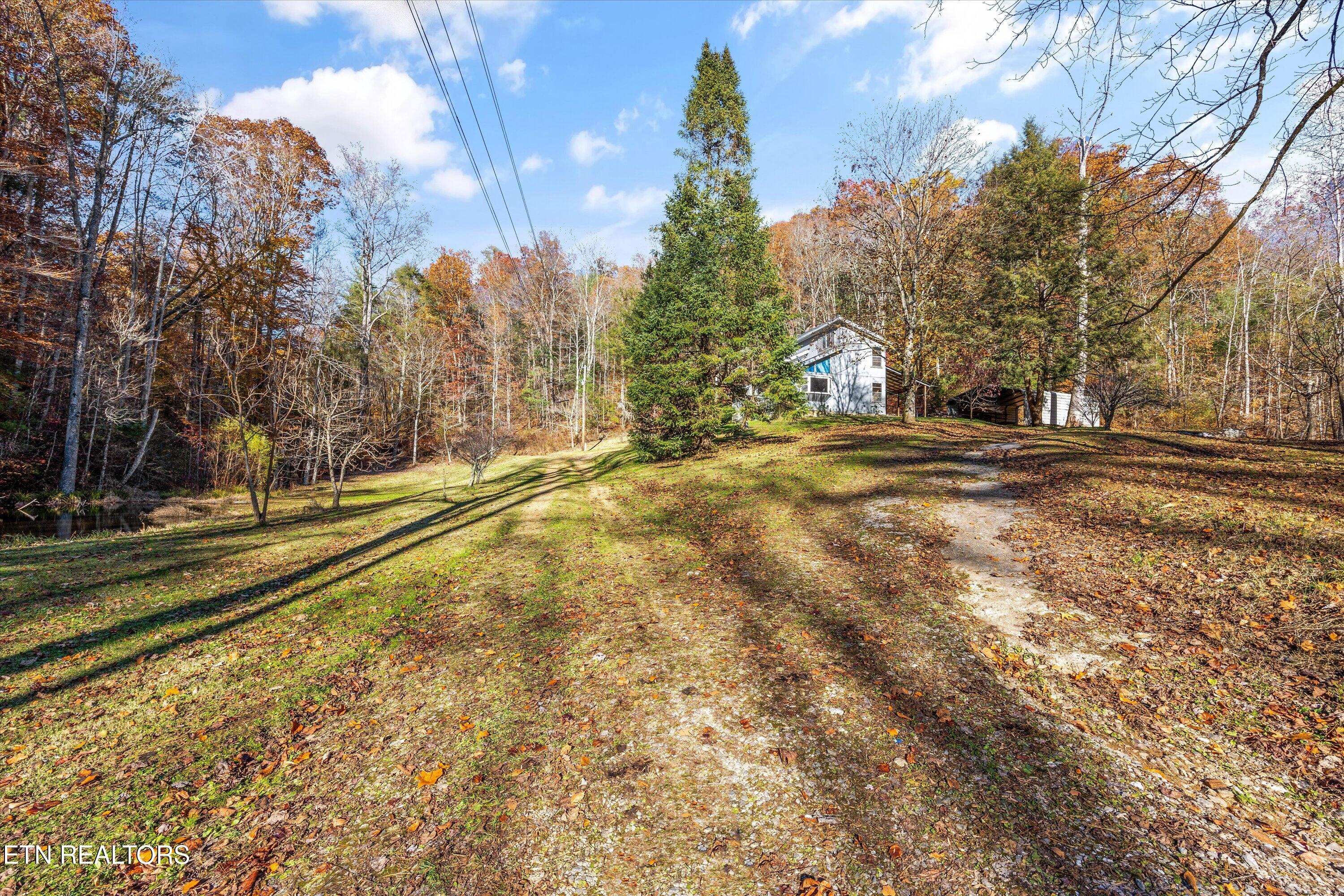 320 Caney Branch Road Tellico Plains TN 37385