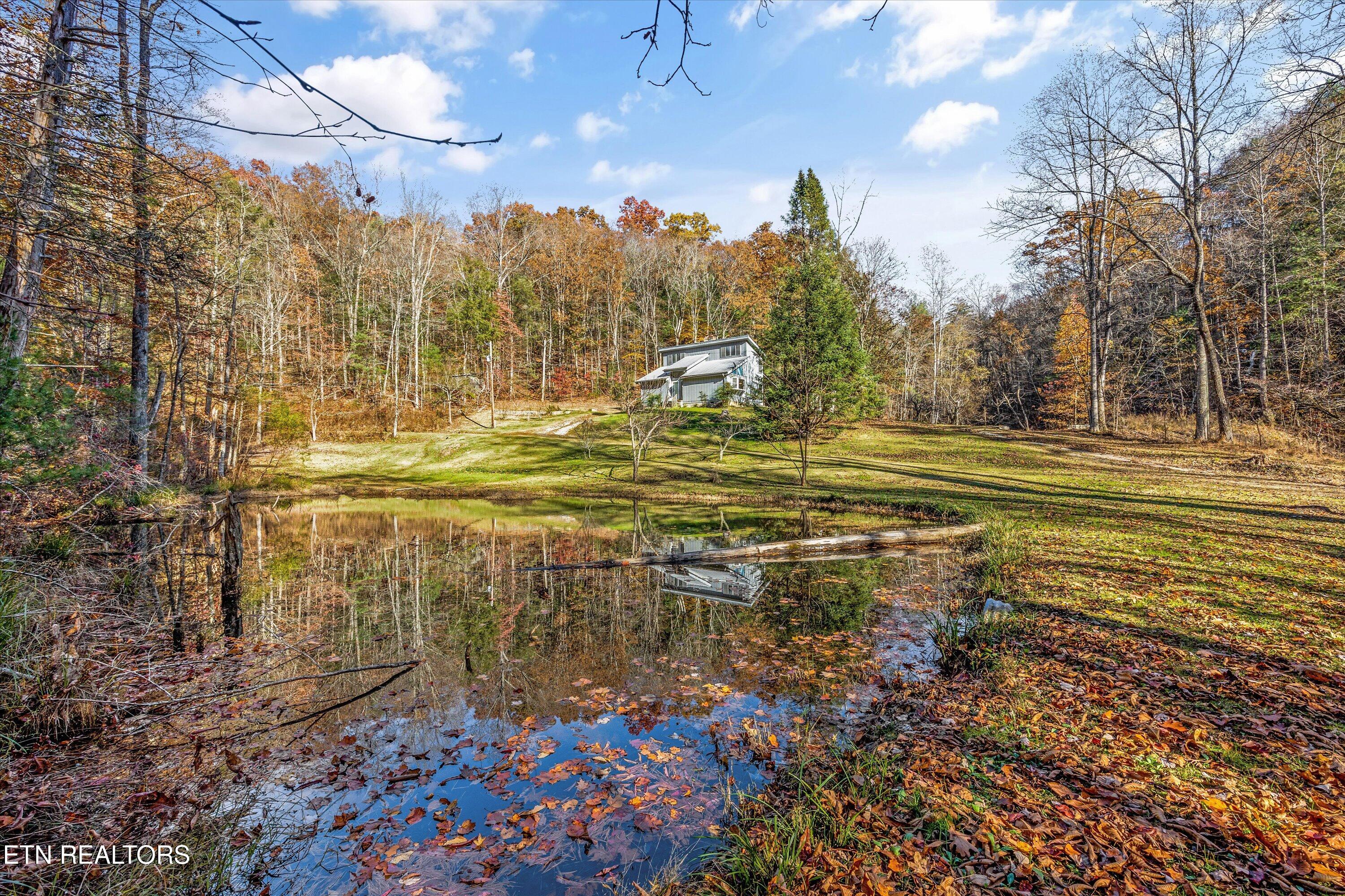 320 Caney Branch Road Tellico Plains TN 37385