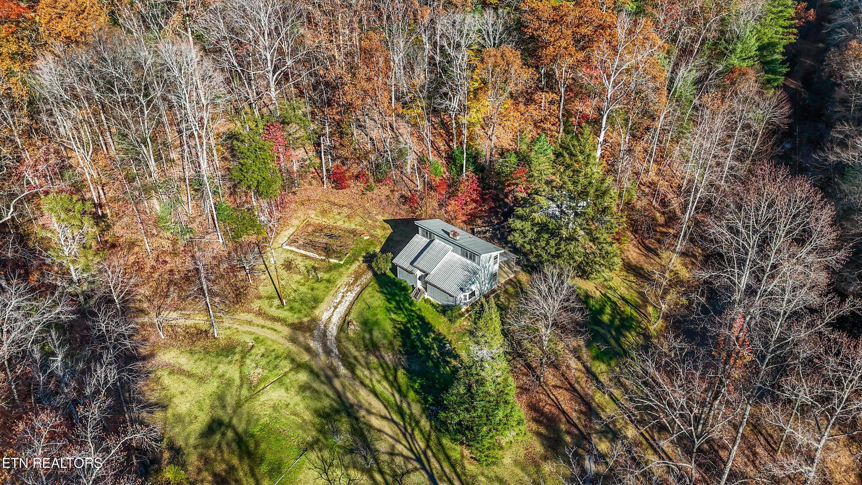 320 Caney Branch Road Tellico Plains TN 37385