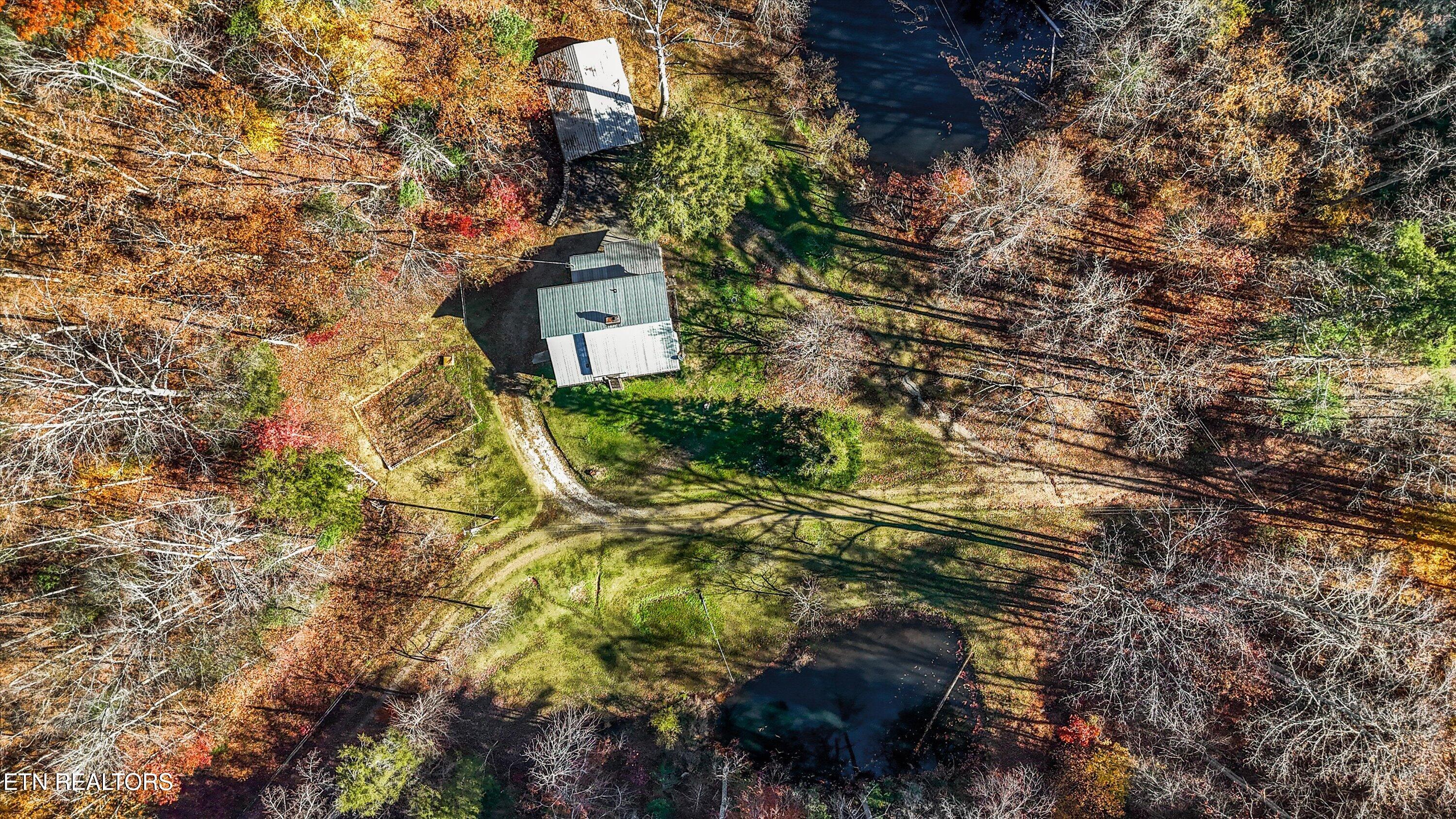320 Caney Branch Road Tellico Plains TN 37385