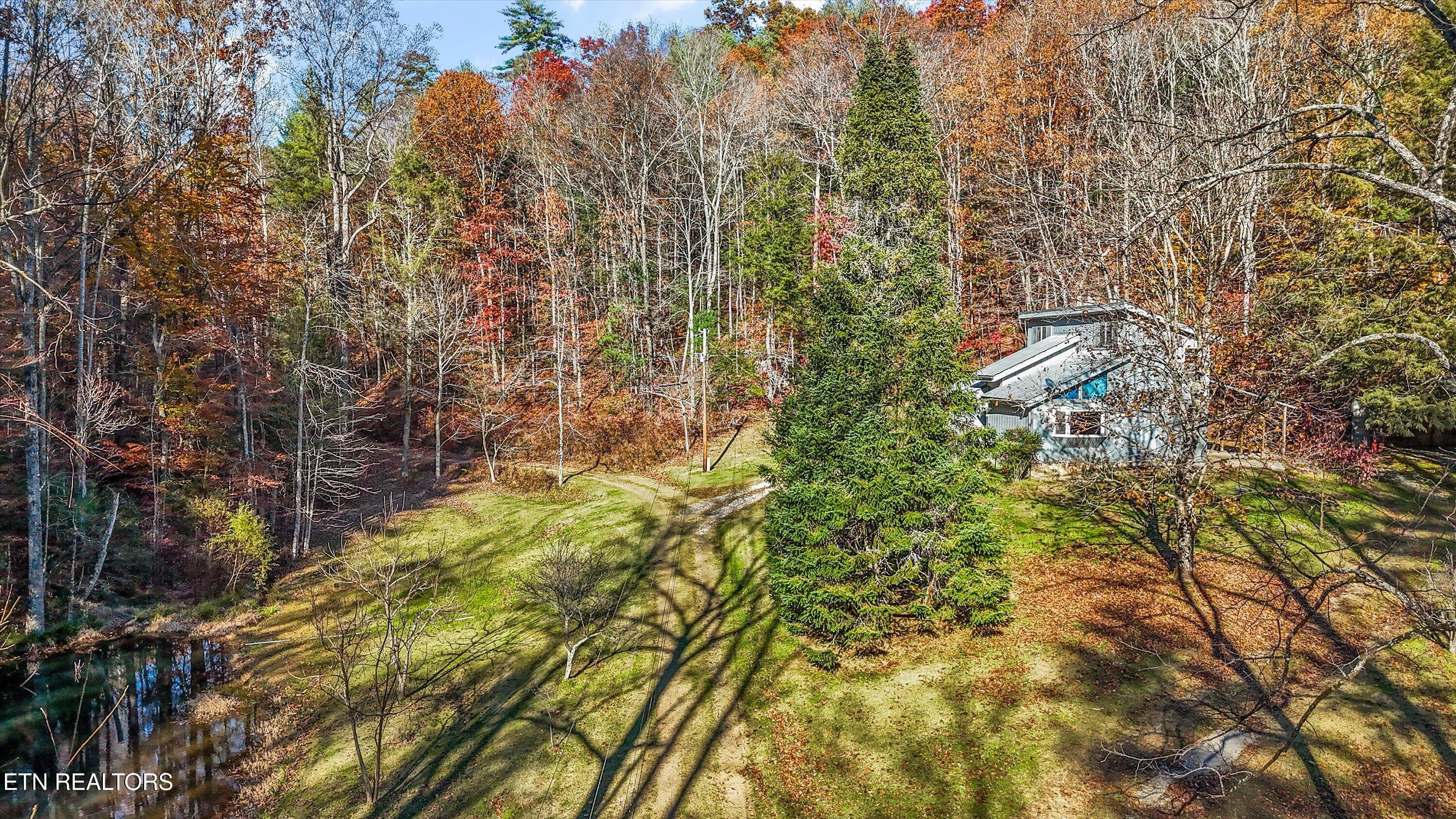 320 Caney Branch Road Tellico Plains TN 37385