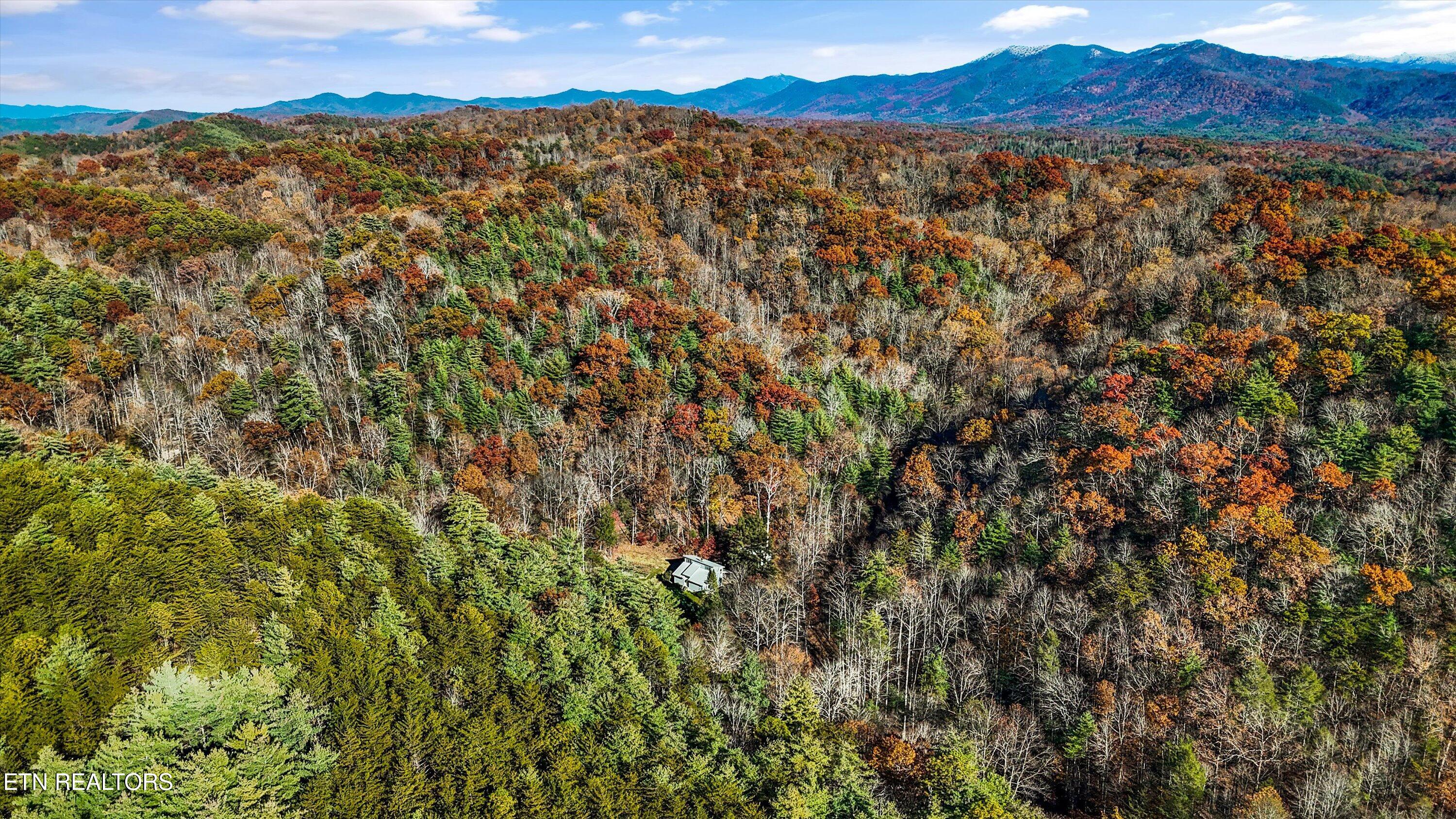 320 Caney Branch Road Tellico Plains TN 37385