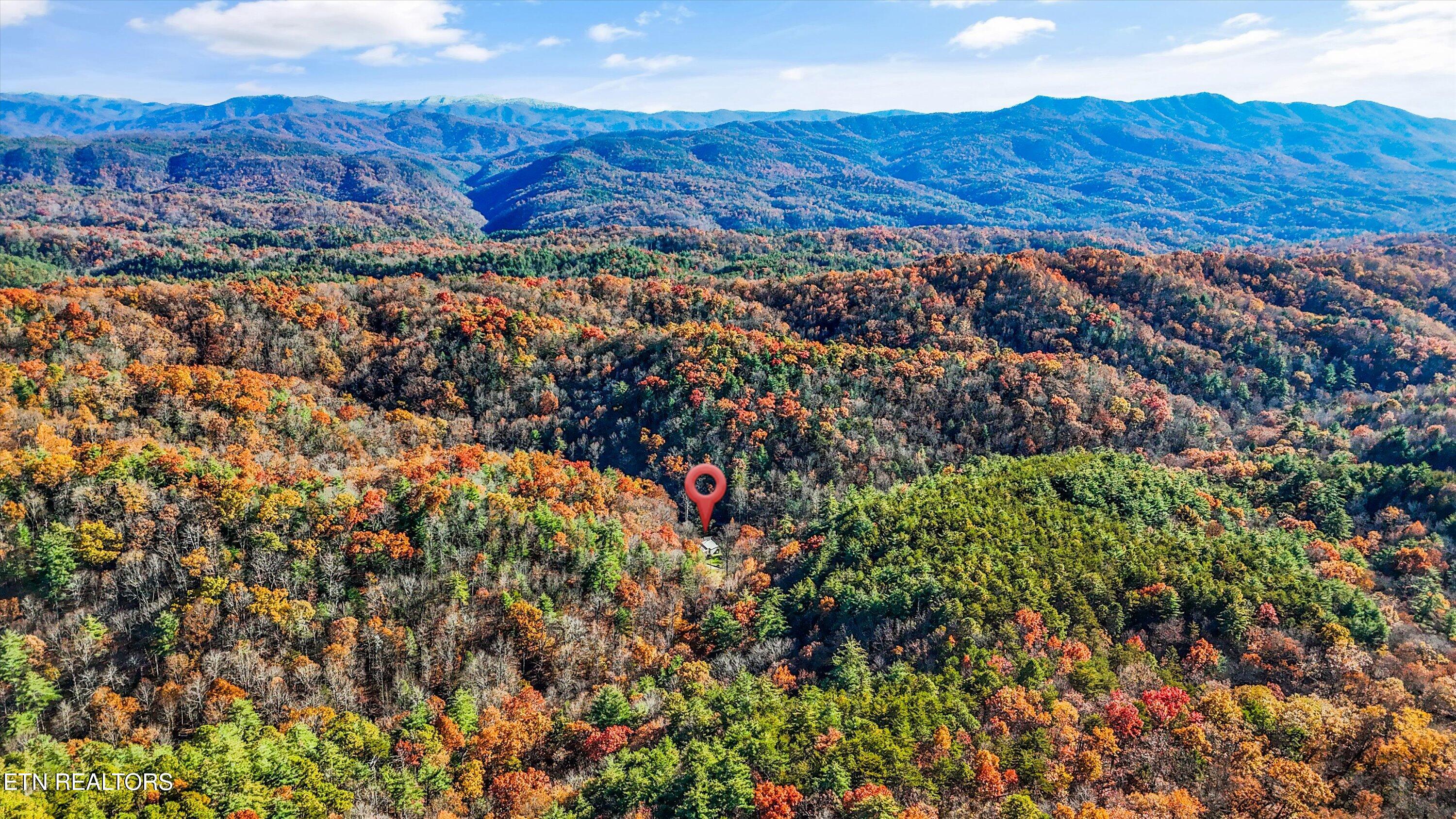 320 Caney Branch Road Tellico Plains TN 37385