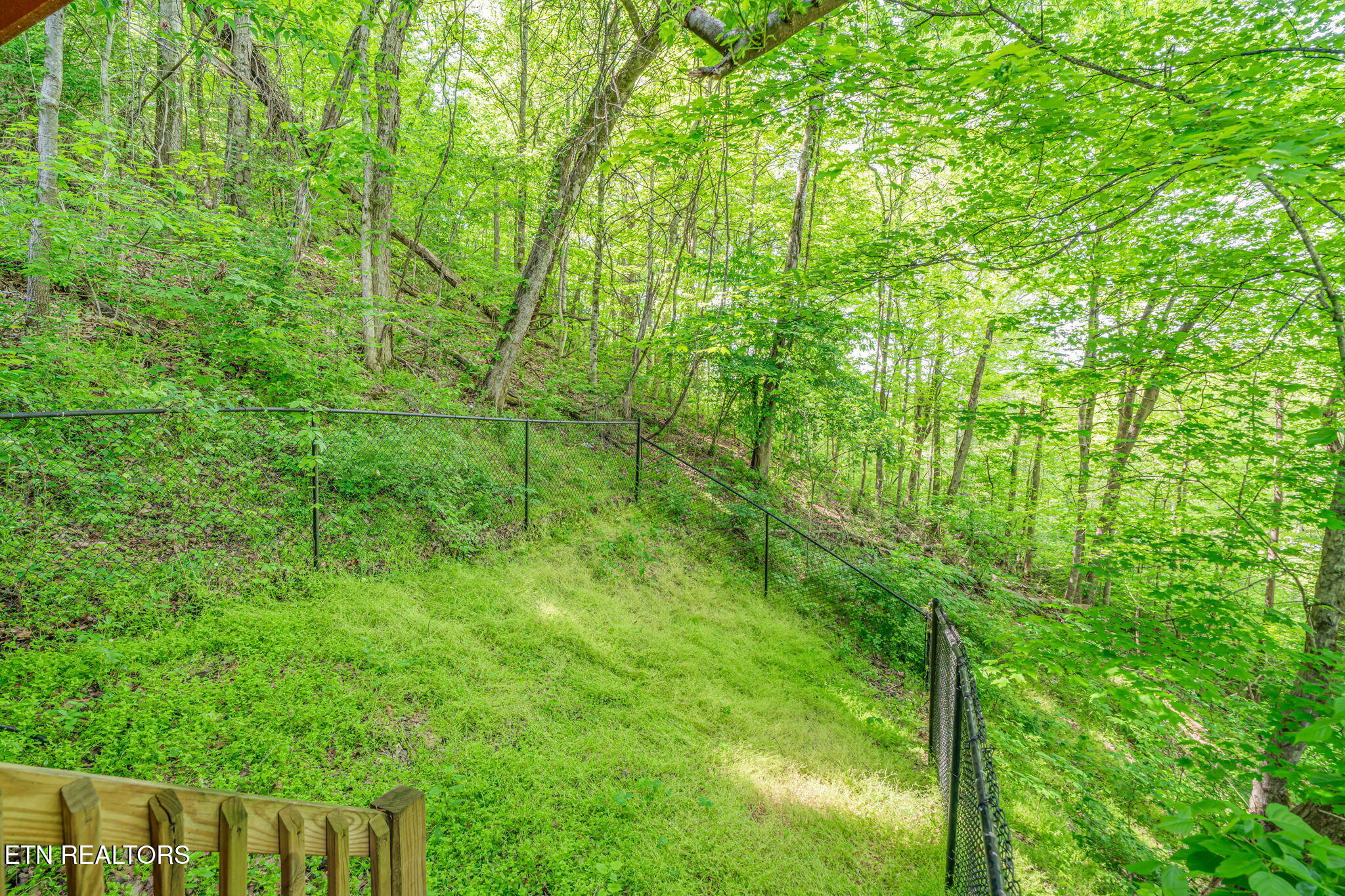 1111 Rocky Top Ridge Way Sevierville TN 37876