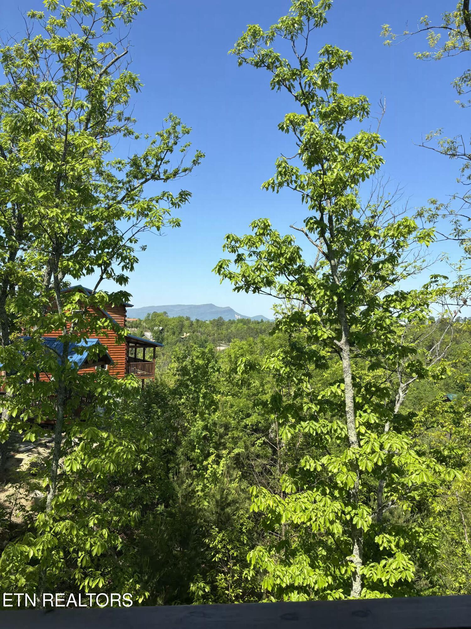 1974 Timber Ridge Way Sevierville TN 37876