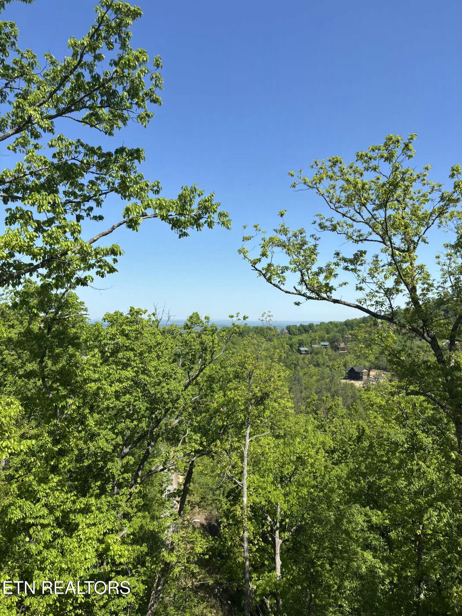 1974 Timber Ridge Way Sevierville TN 37876
