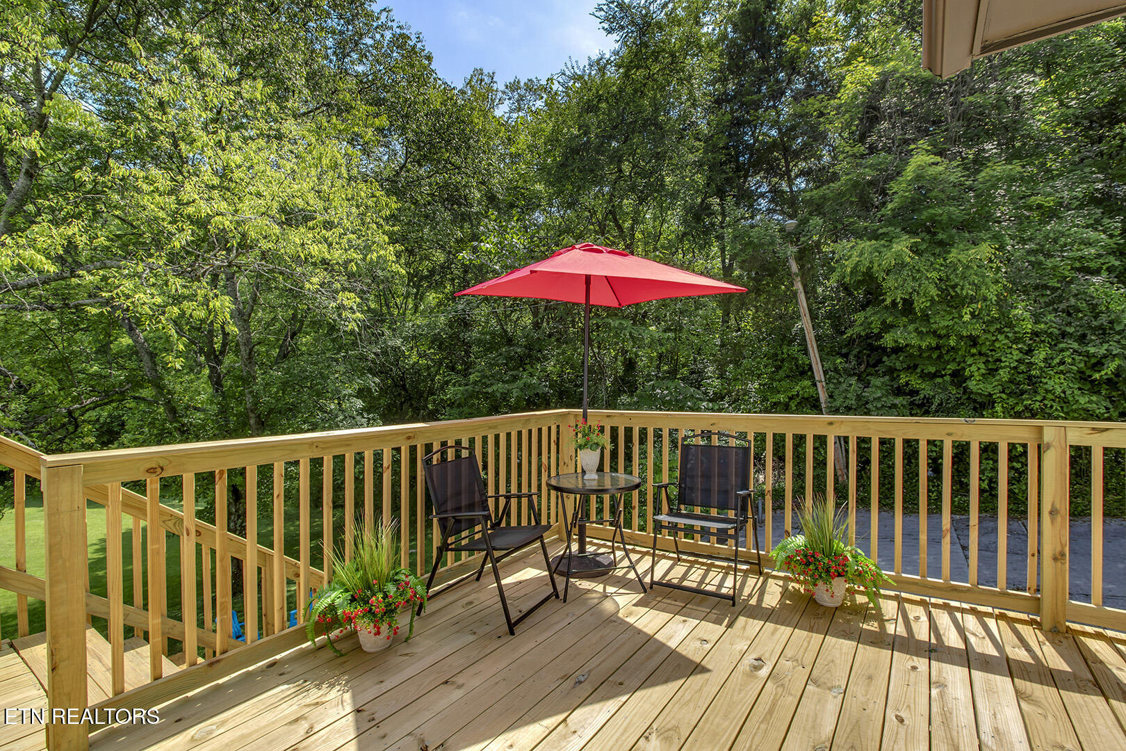 1316 Margaret Lane Knoxville TN 37920