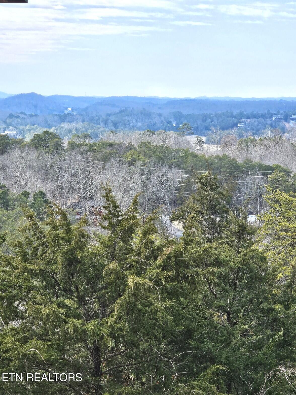 940 Buck Way Sevierville TN 37876