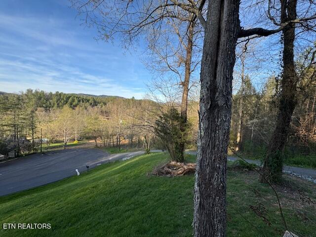 3428 Jason Place Sevierville TN 37876