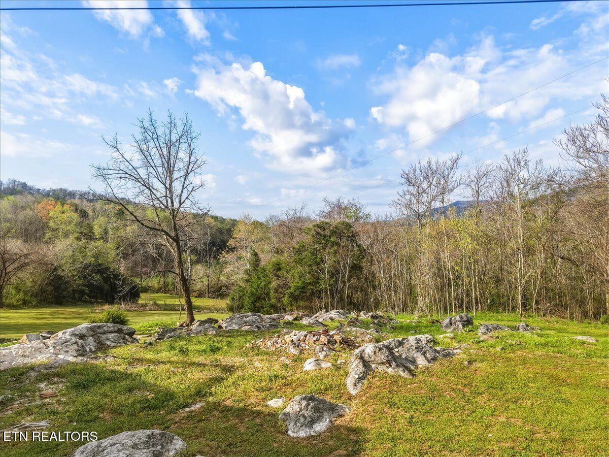 1805 Mecca Pike Tellico Plains TN 37385