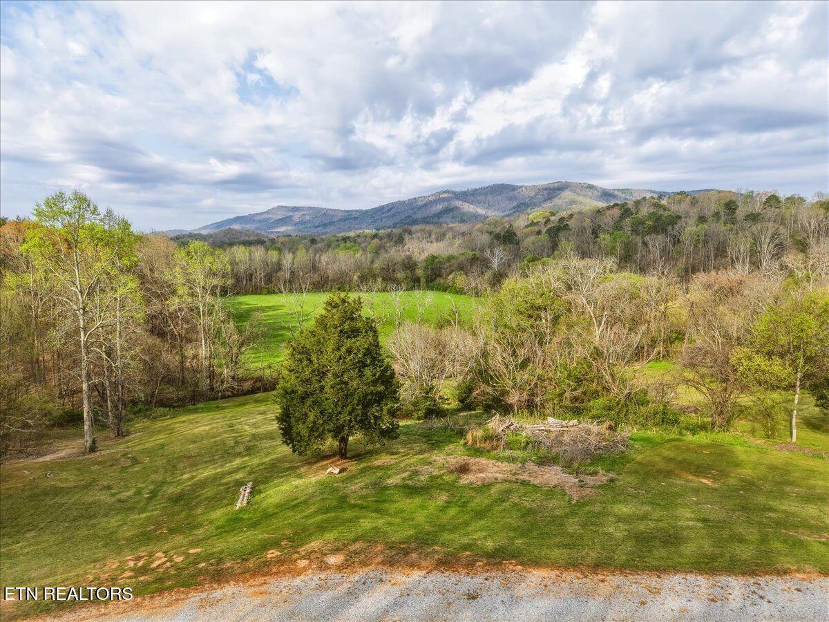 1805 Mecca Pike Tellico Plains TN 37385