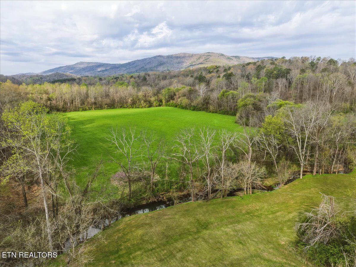 1805 Mecca Pike Tellico Plains TN 37385