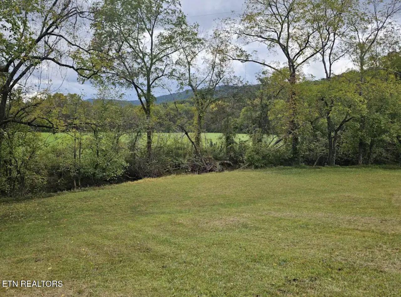 1805 Mecca Pike Tellico Plains TN 37385