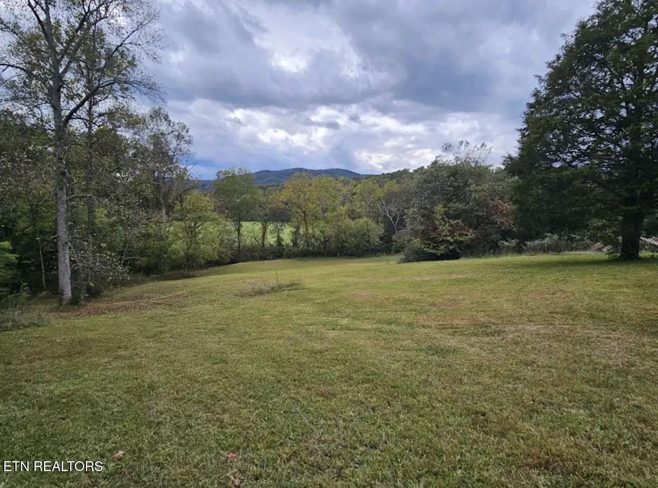 1805 Mecca Pike Tellico Plains TN 37385