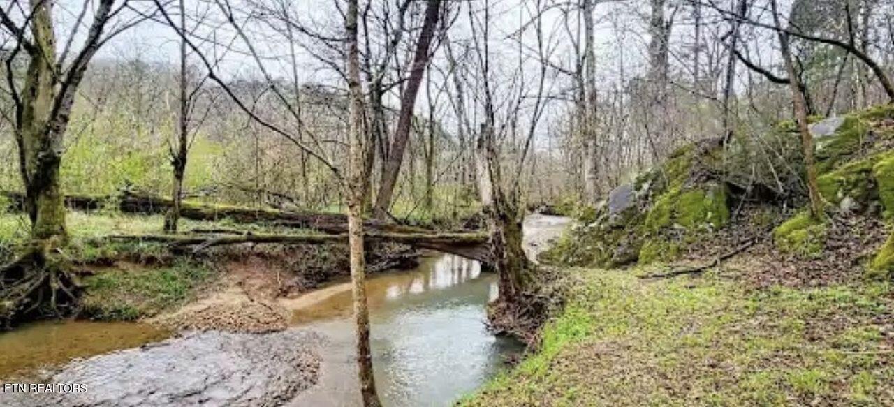 1805 Mecca Pike Tellico Plains TN 37385