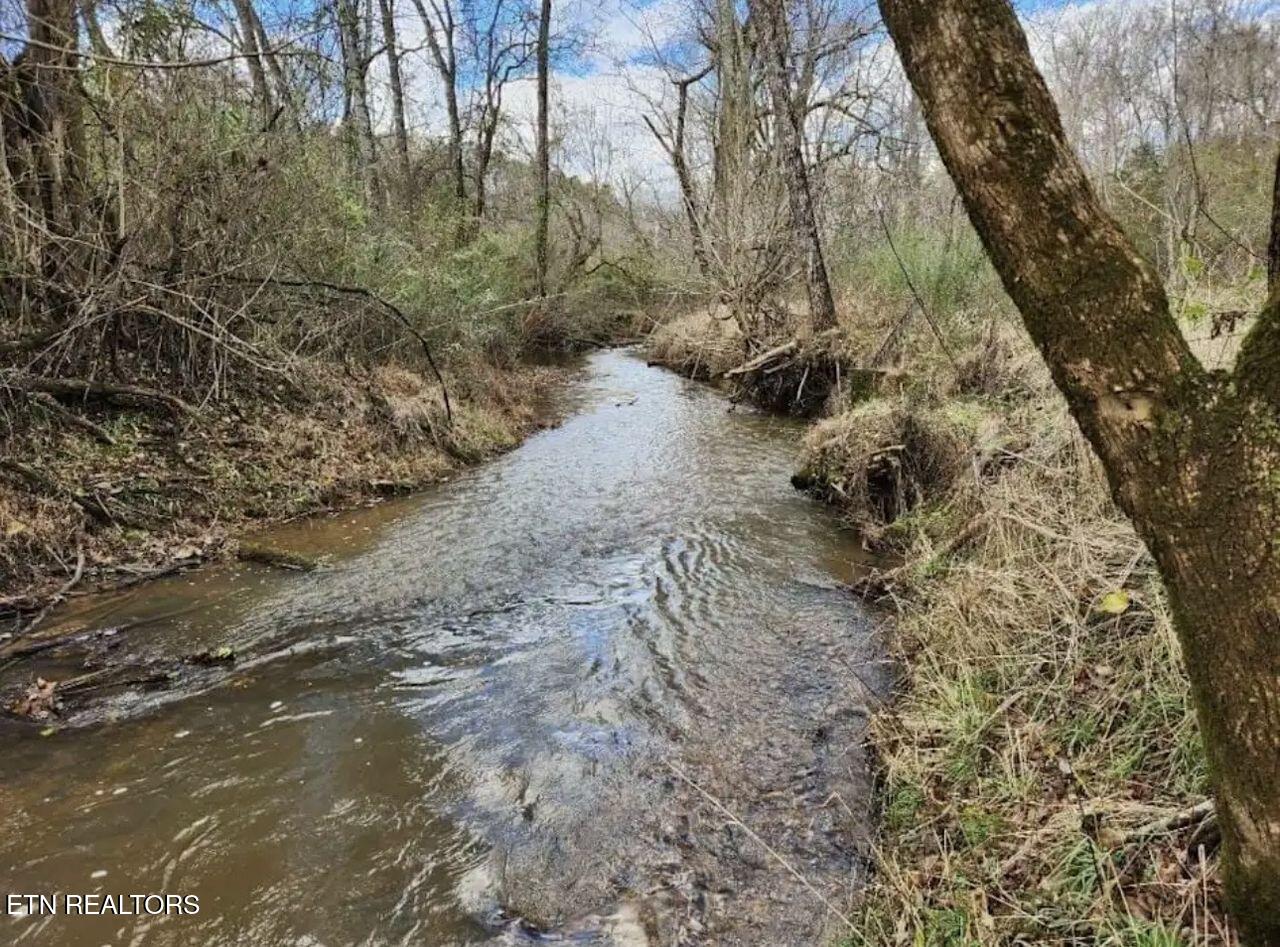 1805 Mecca Pike Tellico Plains TN 37385