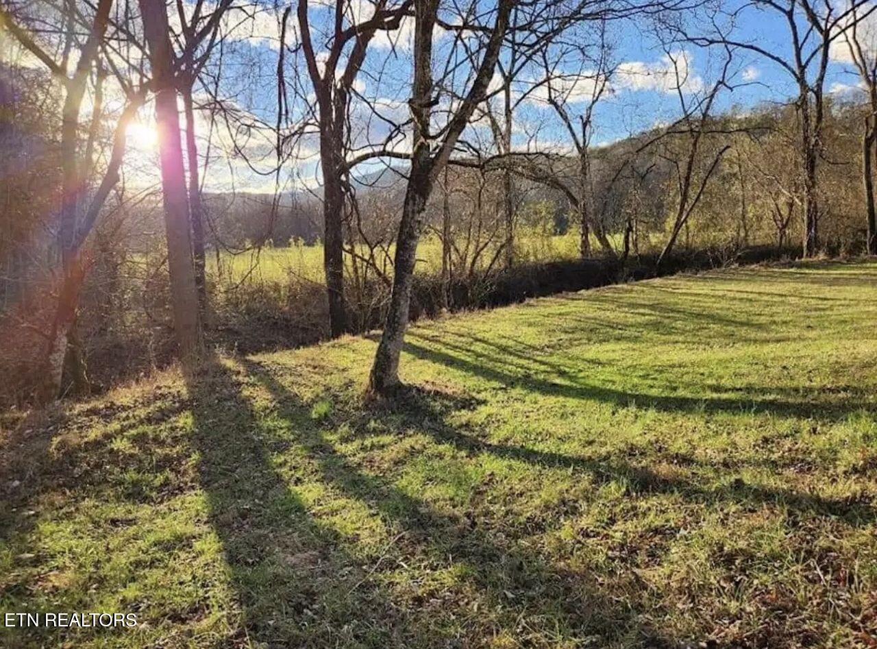 1805 Mecca Pike Tellico Plains TN 37385