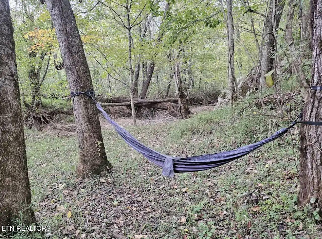 1805 Mecca Pike Tellico Plains TN 37385