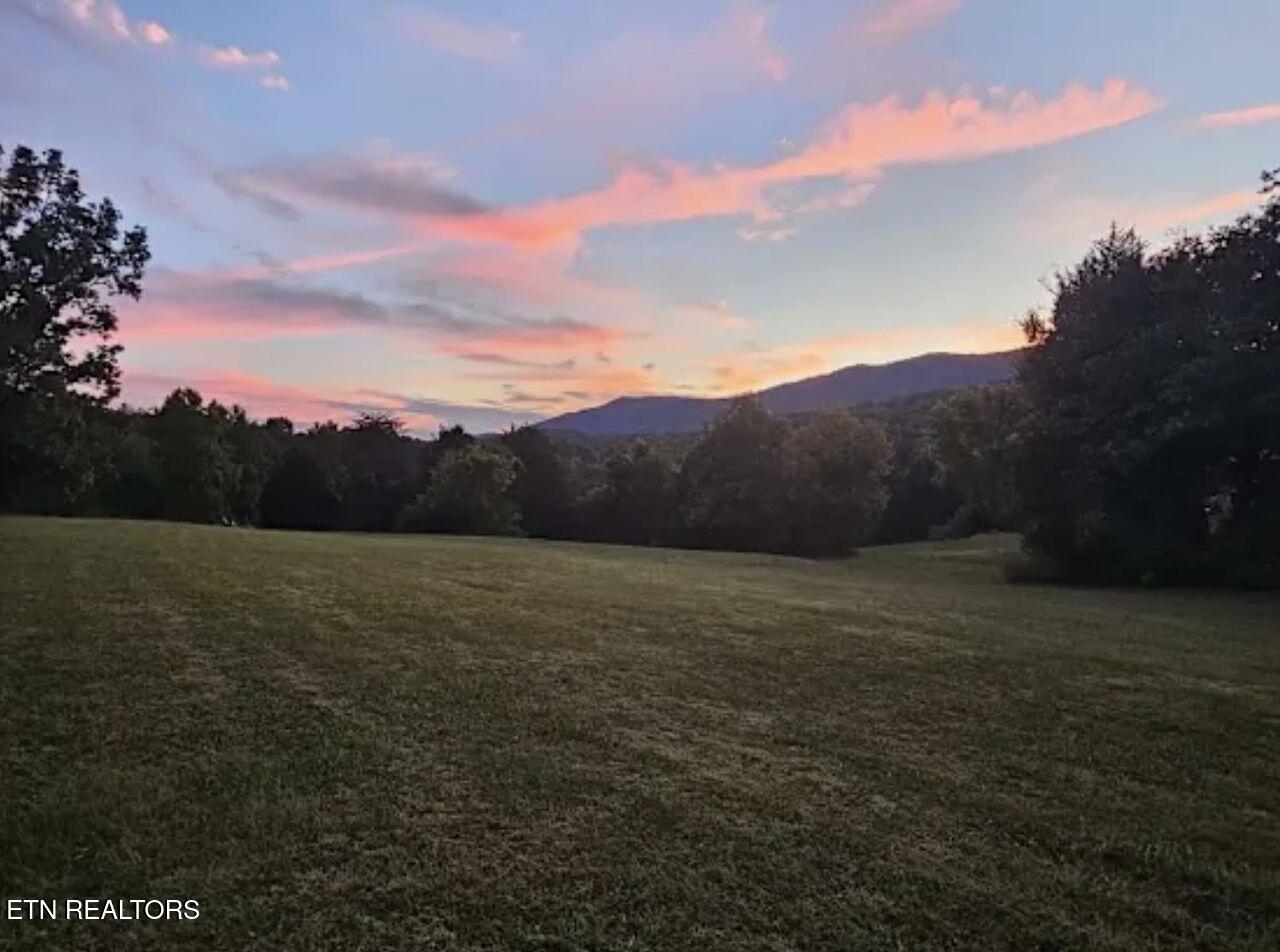 1805 Mecca Pike Tellico Plains TN 37385