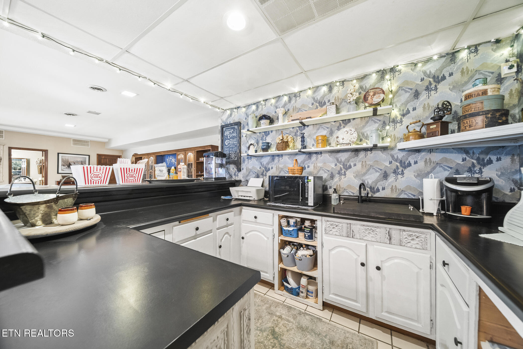 3435 Mountain View Lane Baneberry TN 37890