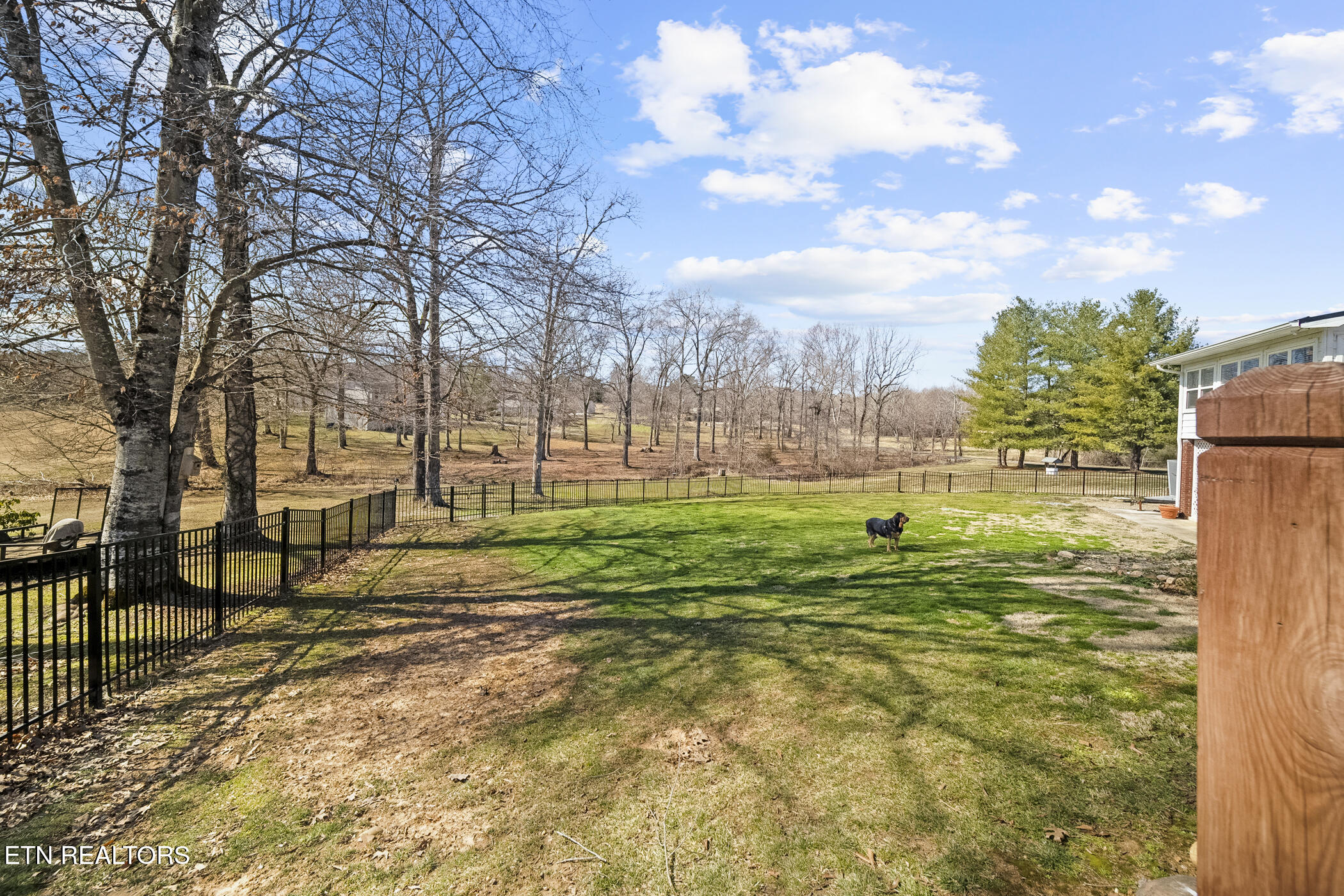 3435 Mountain View Lane Baneberry TN 37890