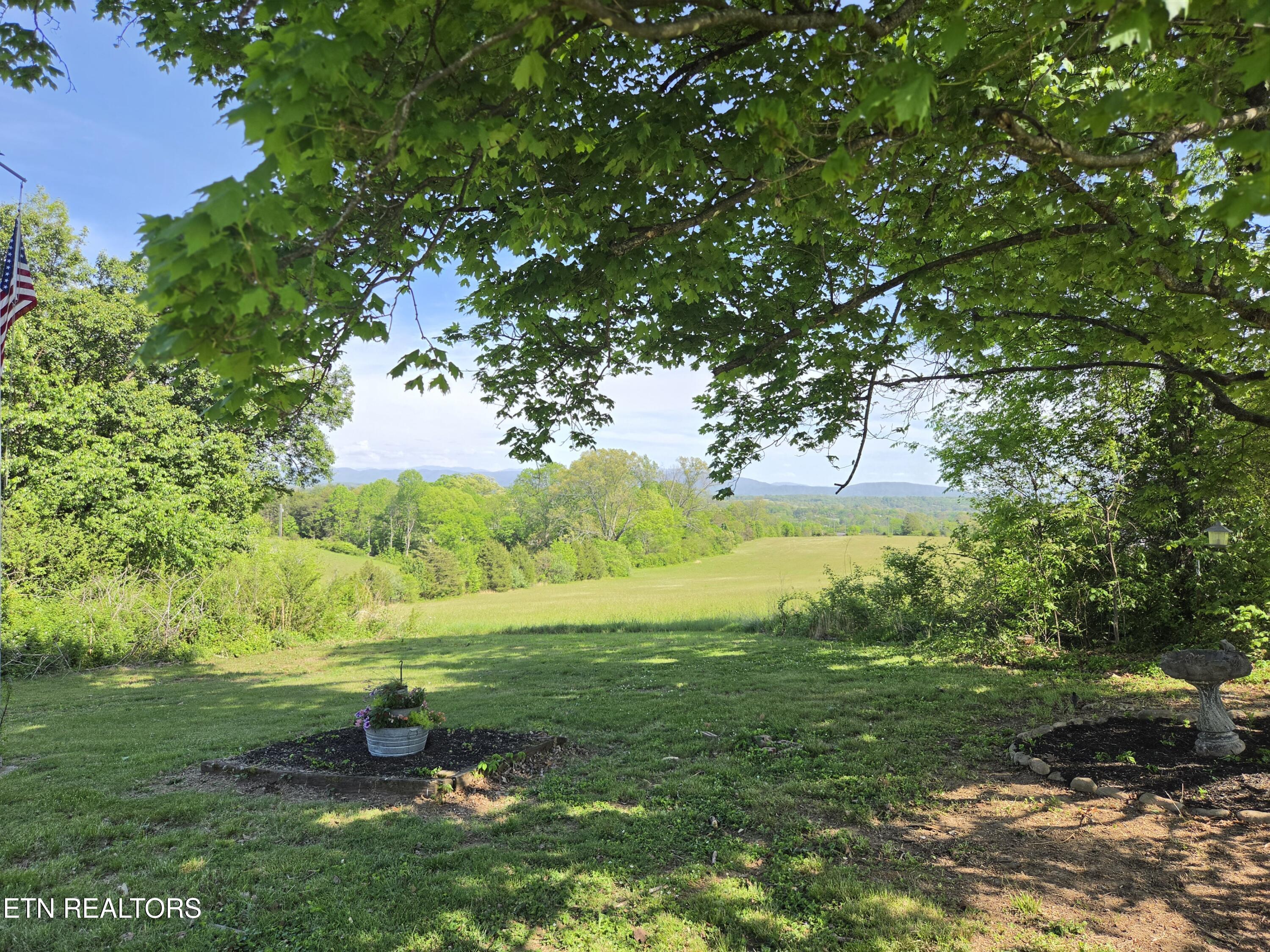 601 Eugene Disney Lane Greenback TN 37742