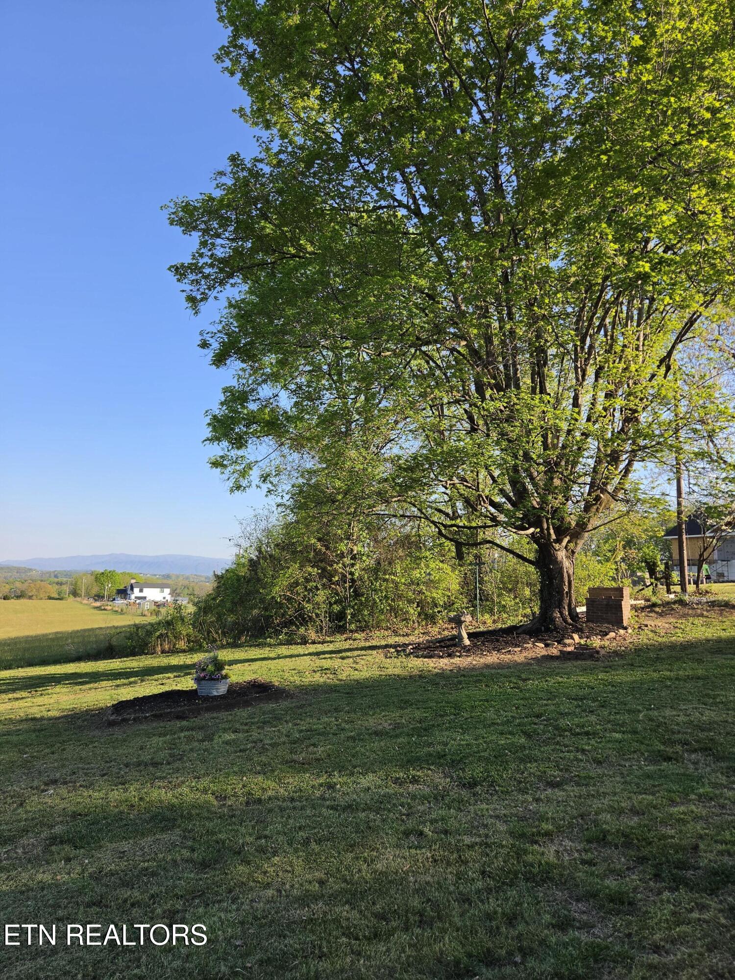 601 Eugene Disney Lane Greenback TN 37742