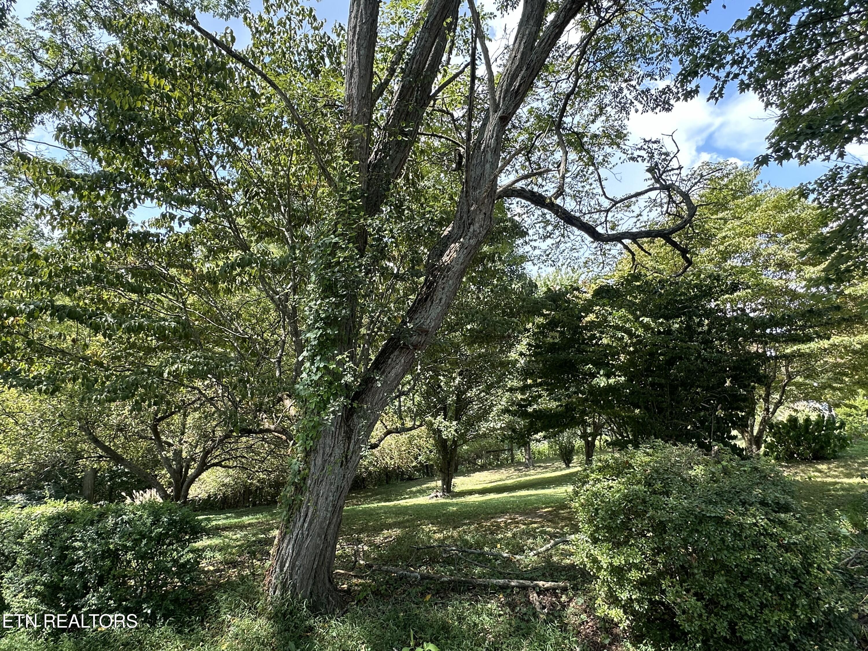 189 Norman Road Jacksboro TN 37757