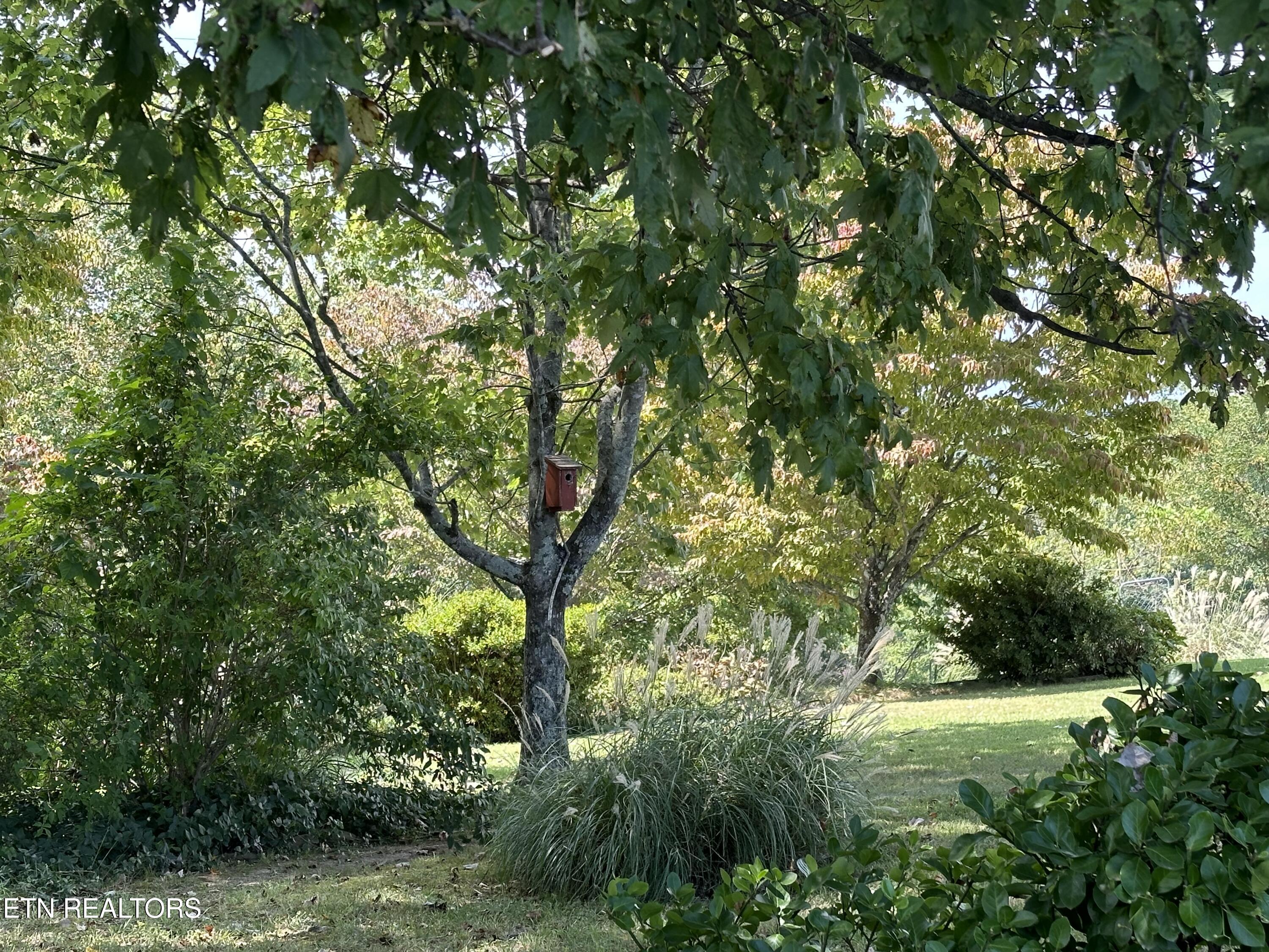 189 Norman Road Jacksboro TN 37757