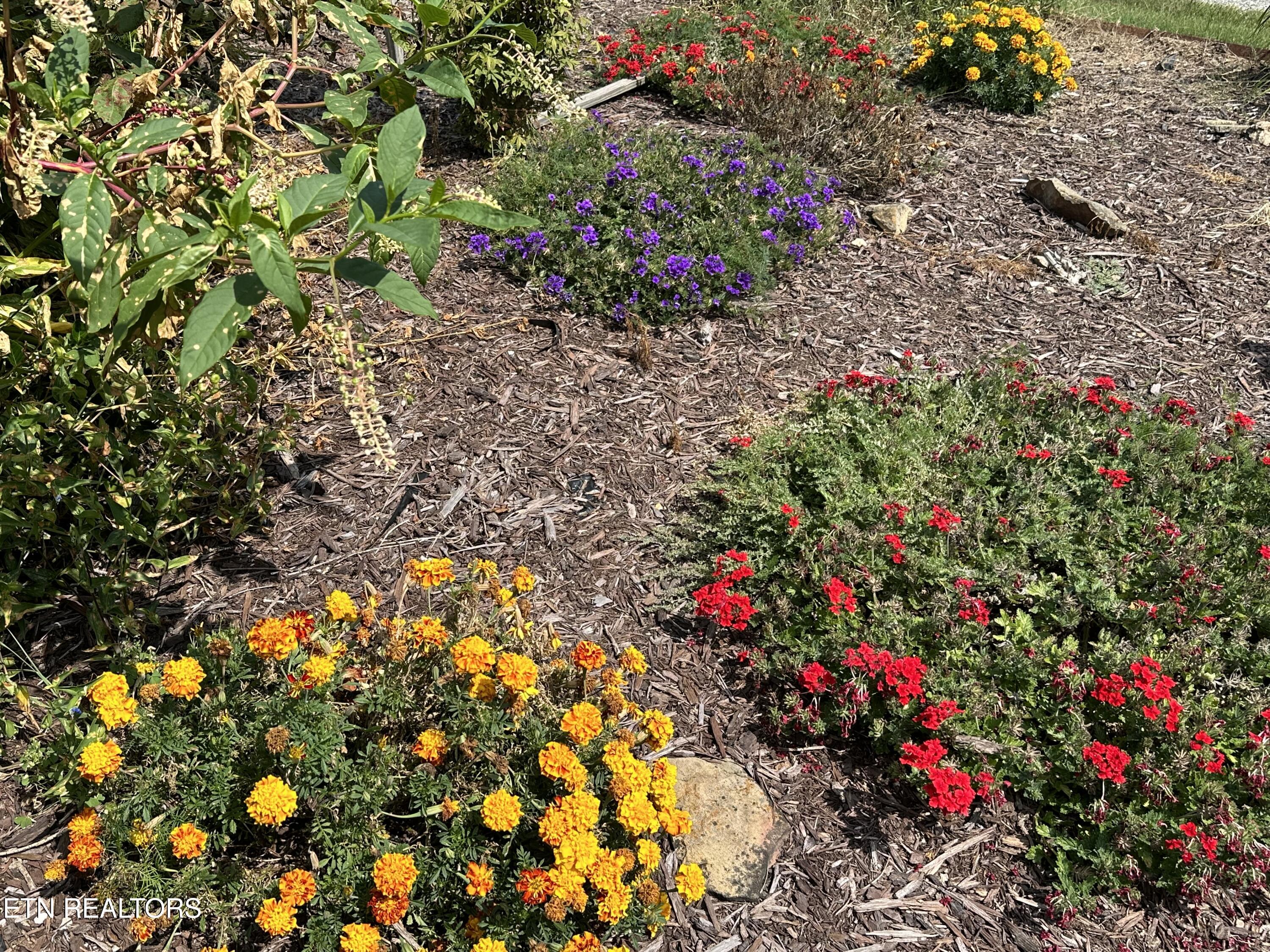 189 Norman Road Jacksboro TN 37757