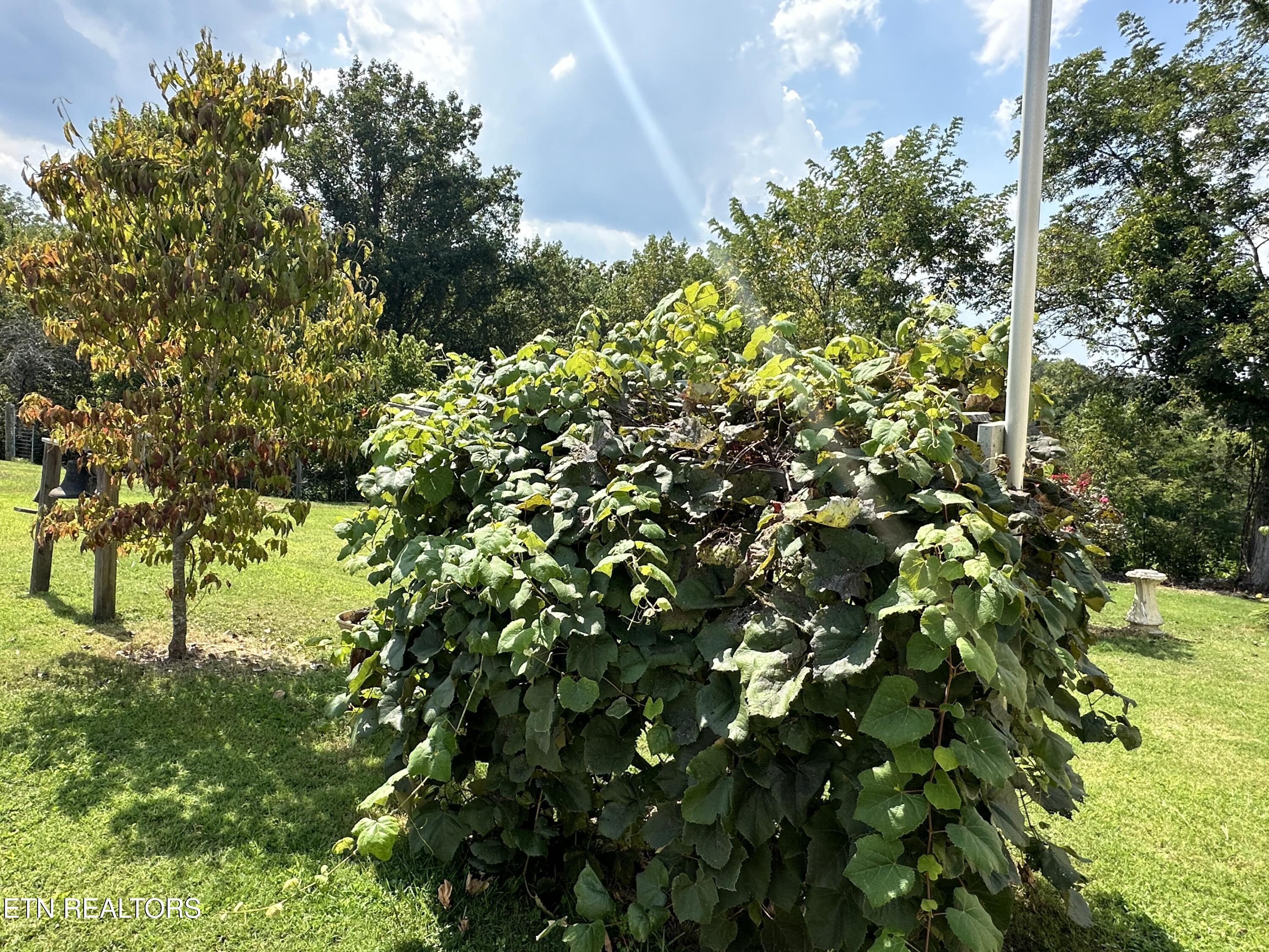 189 Norman Road Jacksboro TN 37757