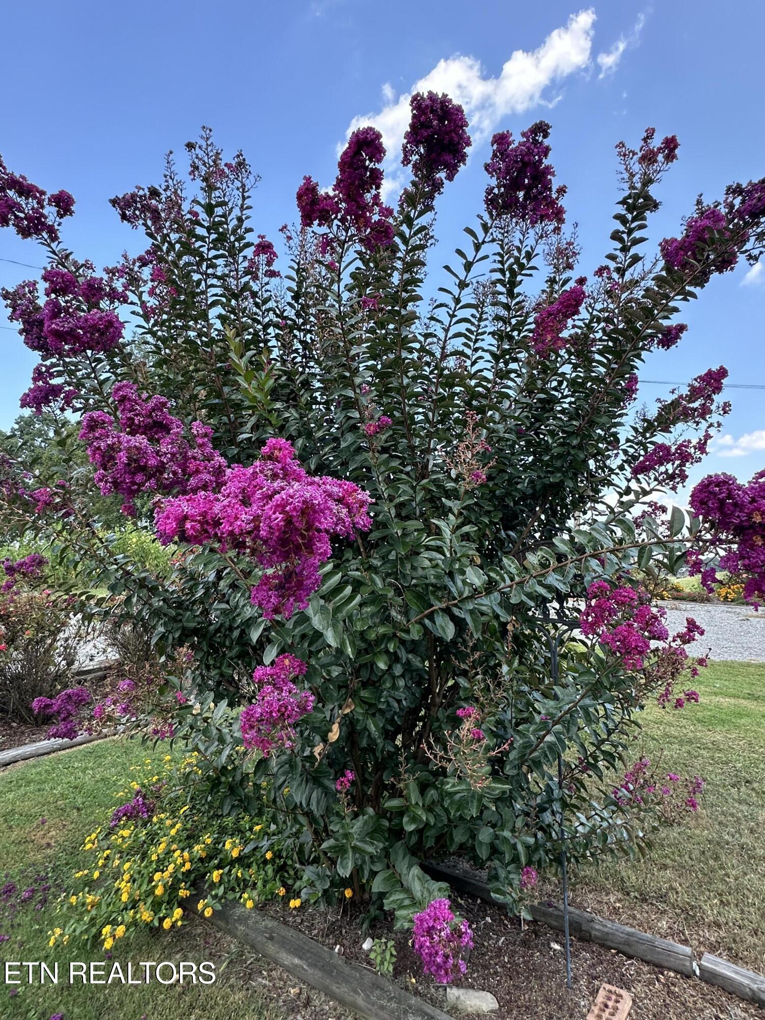 189 Norman Road Jacksboro TN 37757