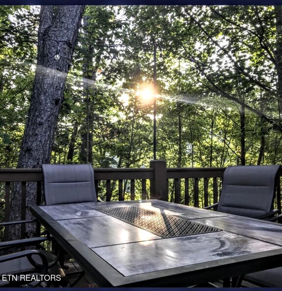 3125 Clearview Road Sevierville TN 37862